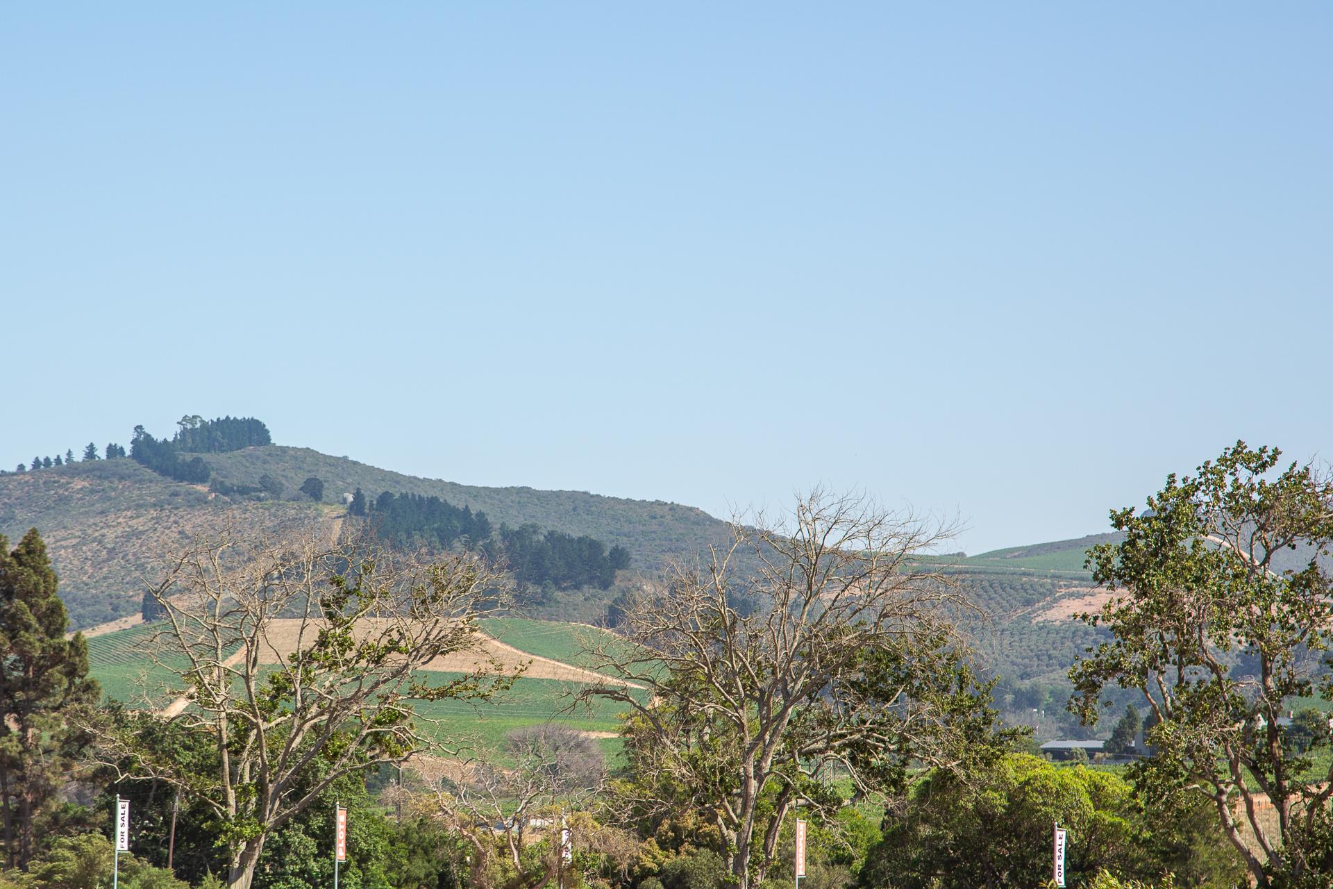 Image 14