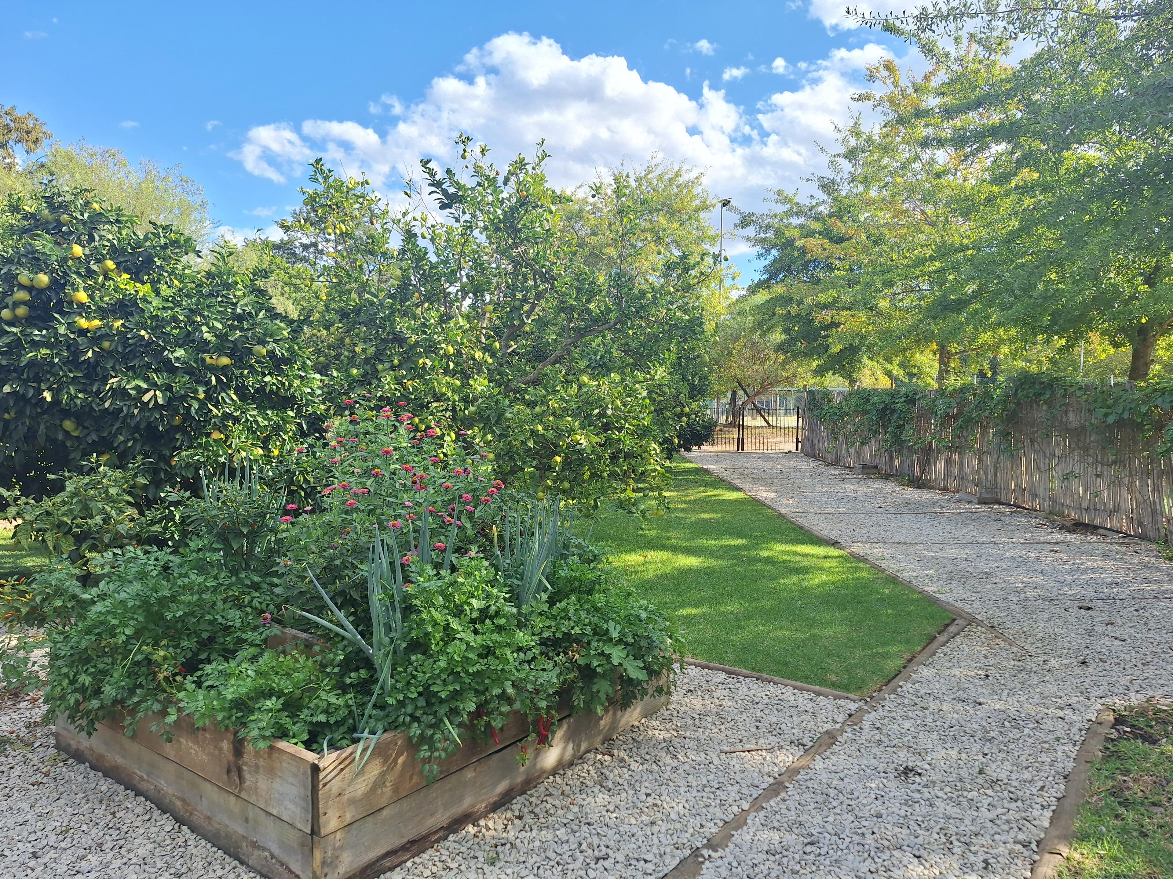 Image 5 of 6