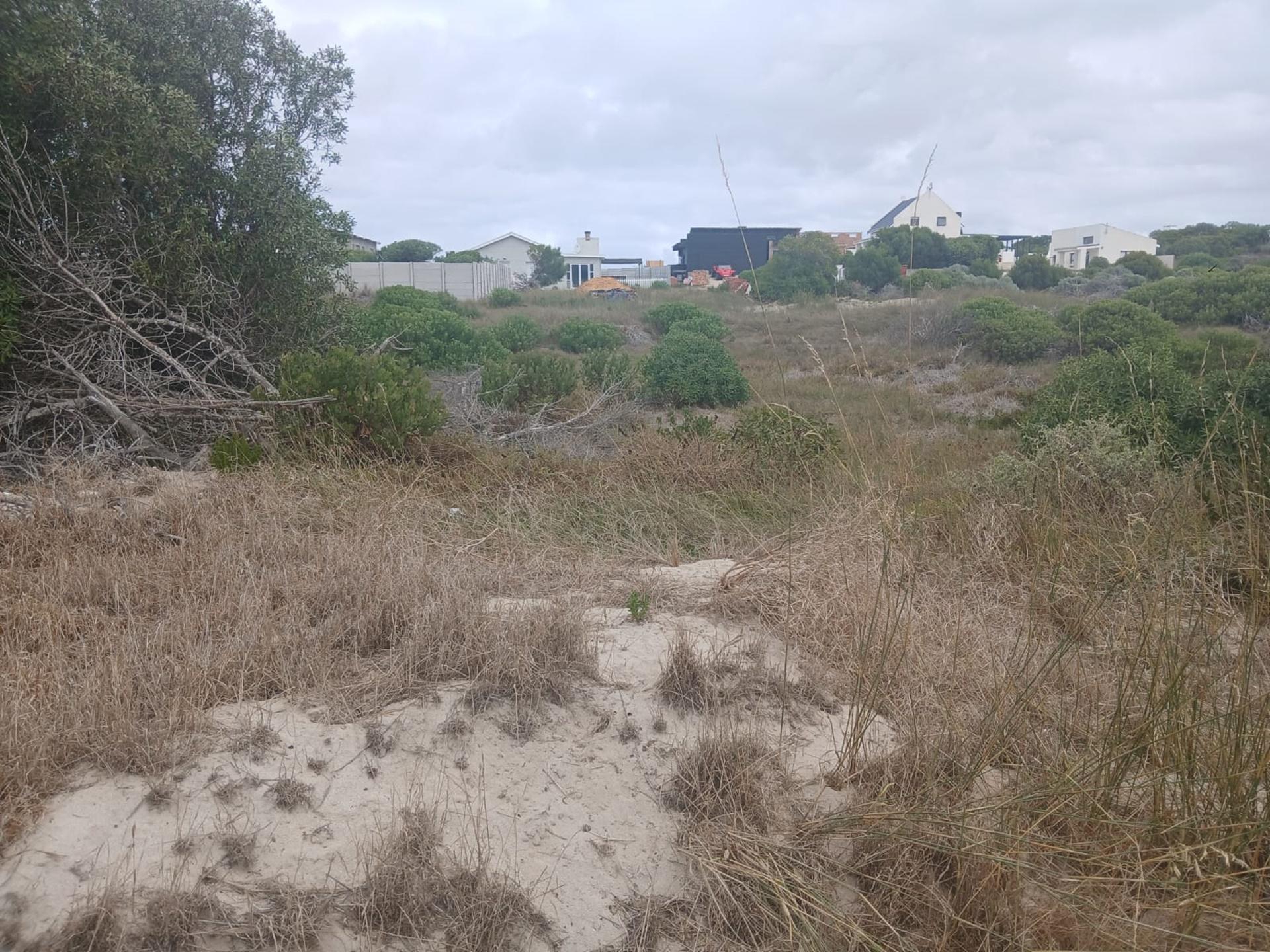 Image 16