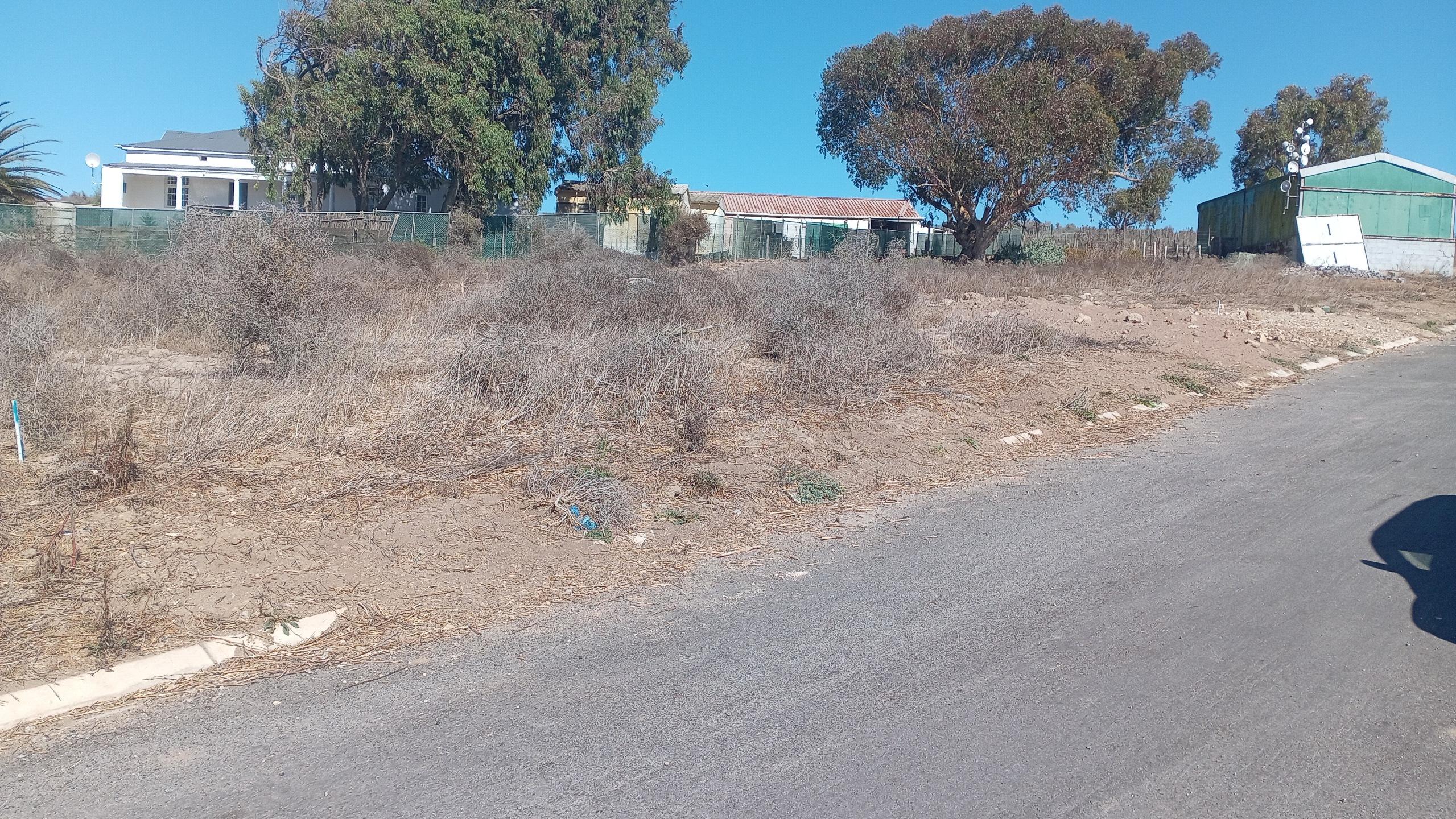 Image 3 of 6