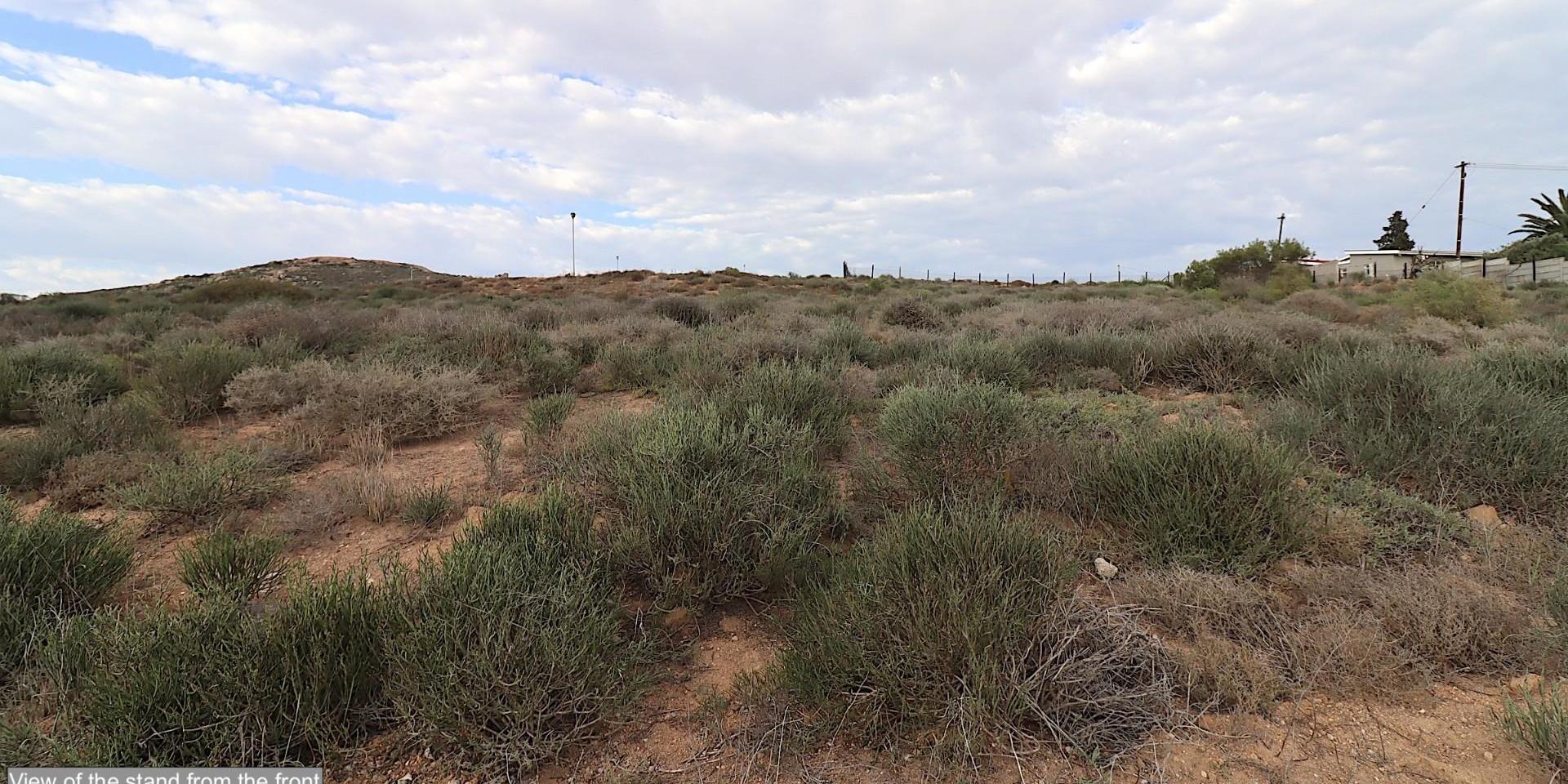 Image 4 of 6