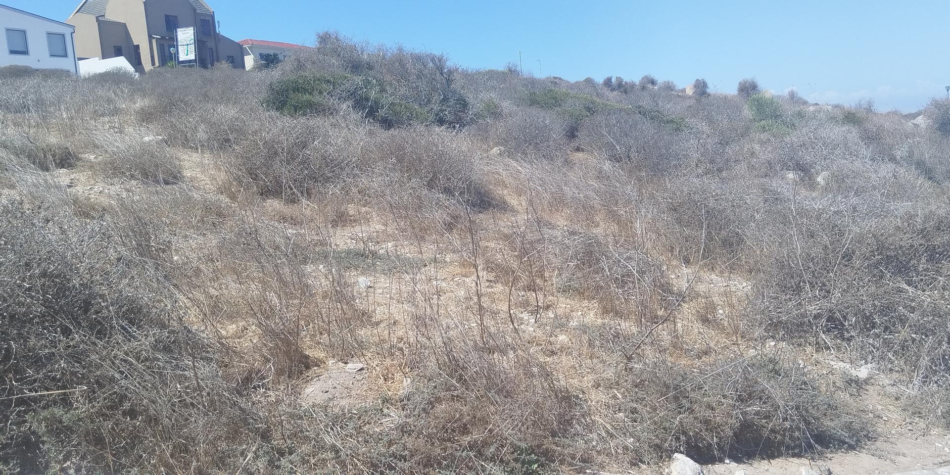 Image 4 of 6