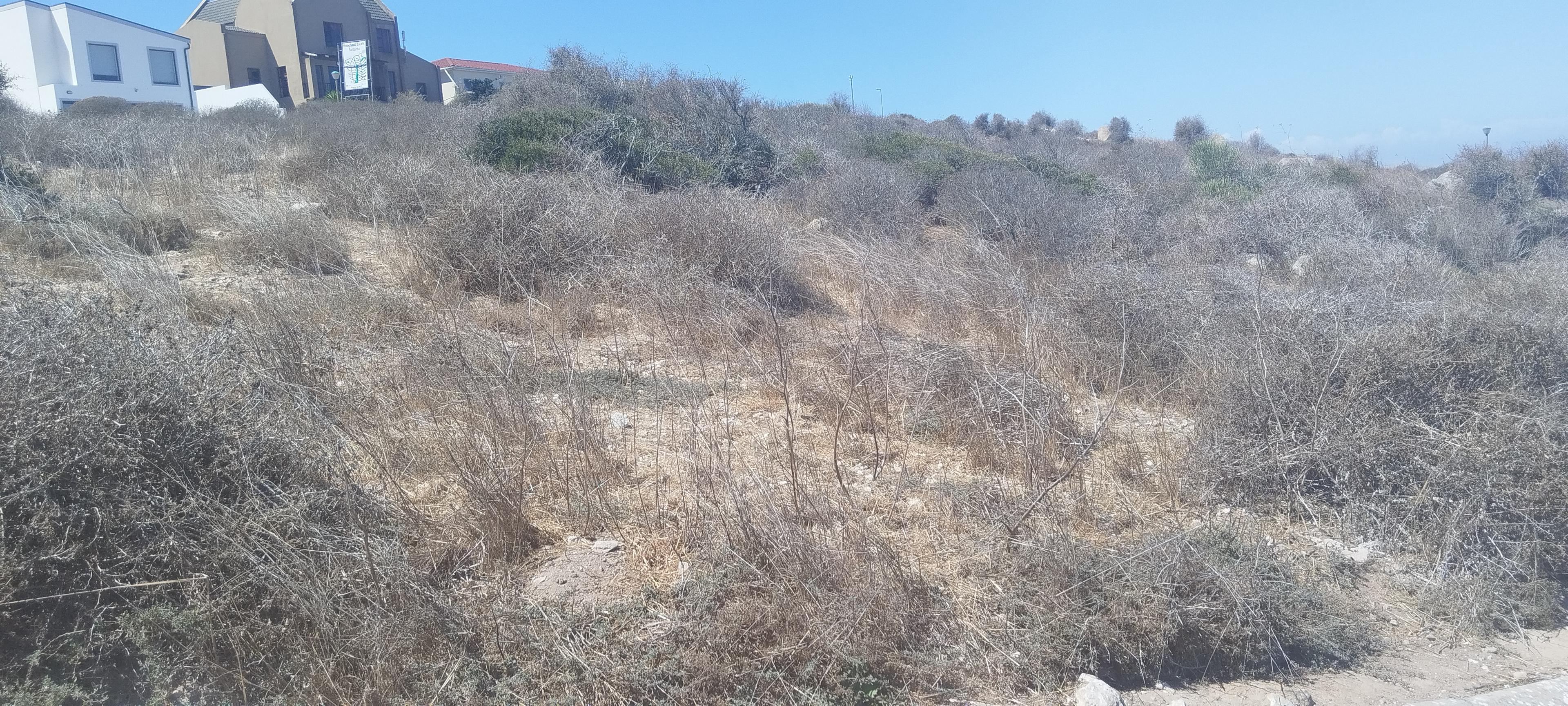 Image 4 of 6