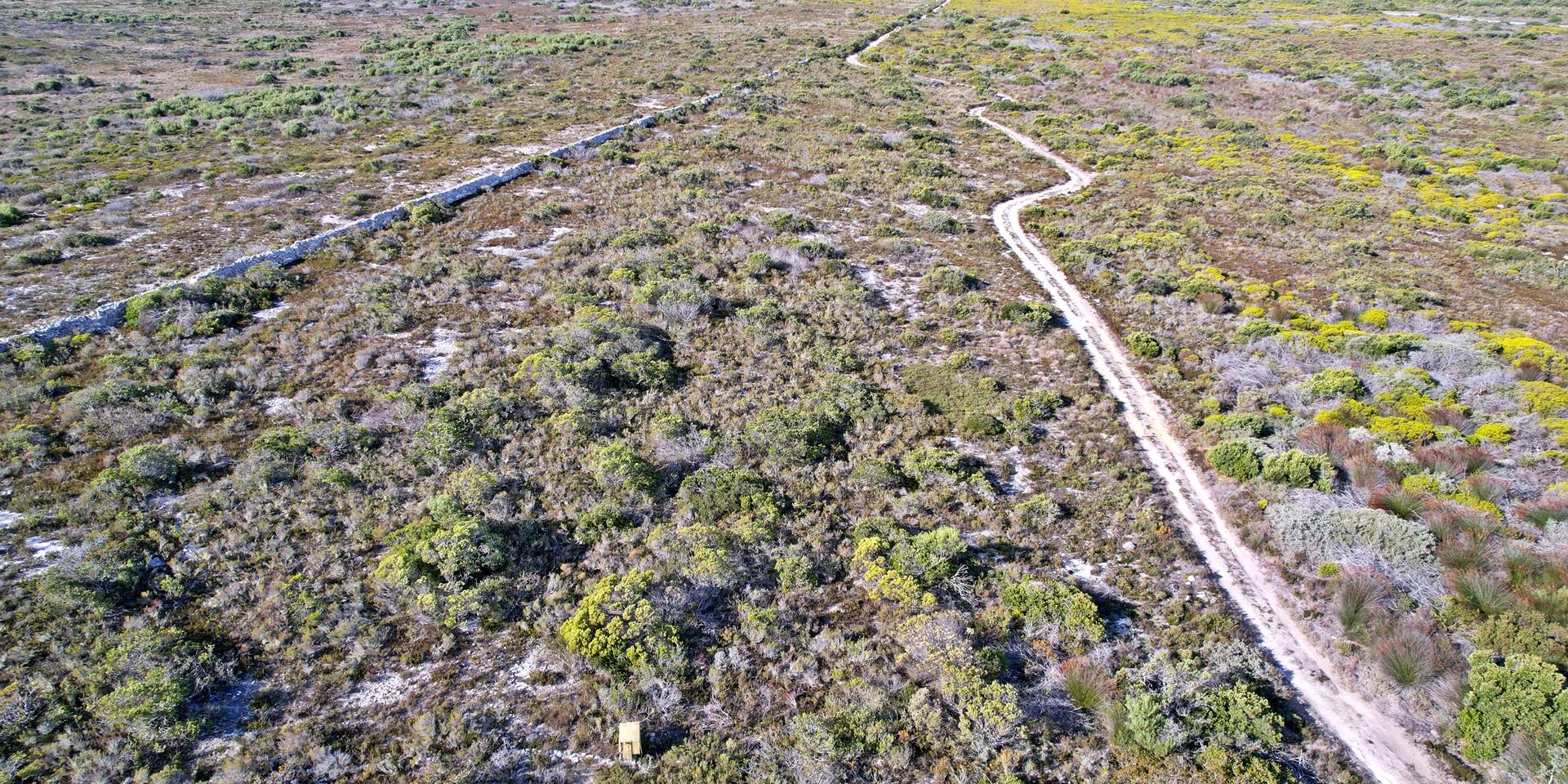 Image 2 of 6