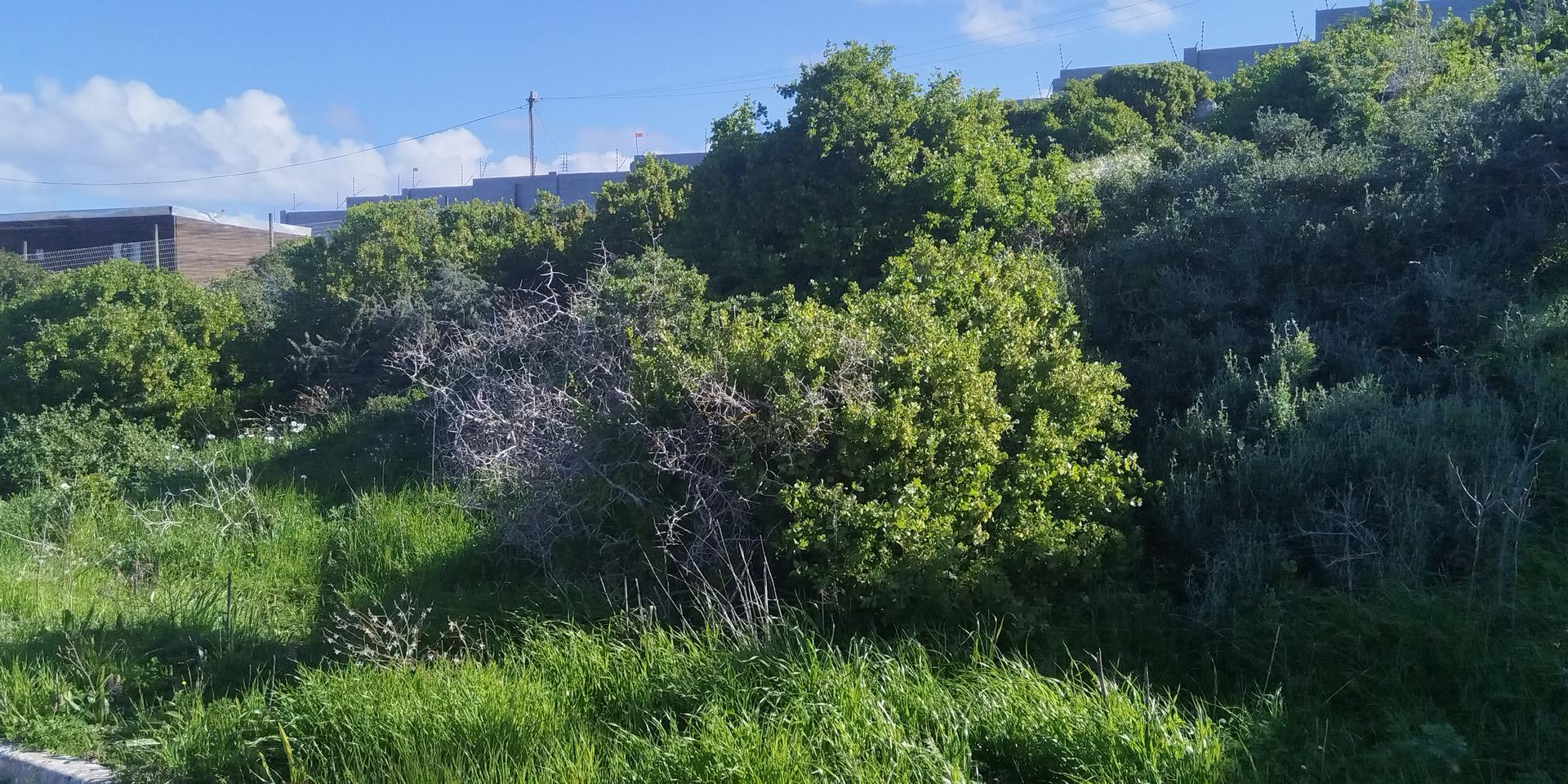 Image 5 of 6