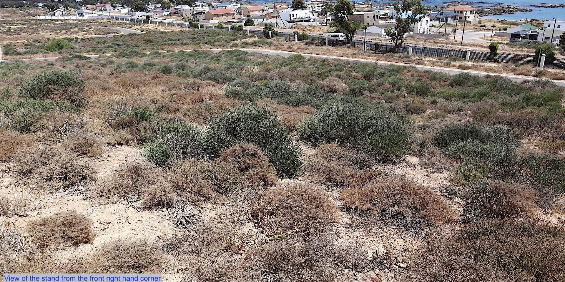 Image 4 of 6