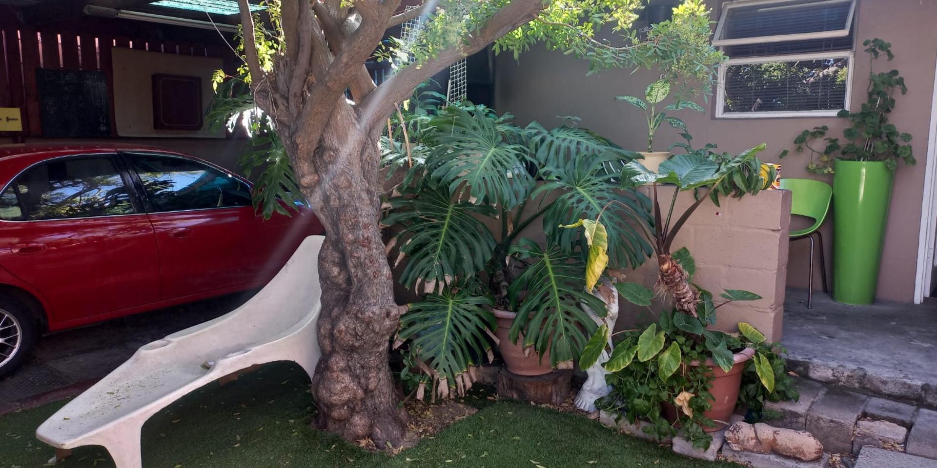 Image 5 of 6
