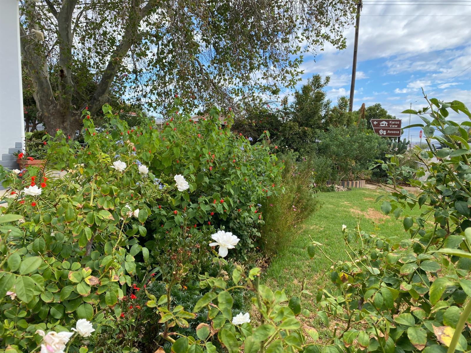 Image 2 of 6