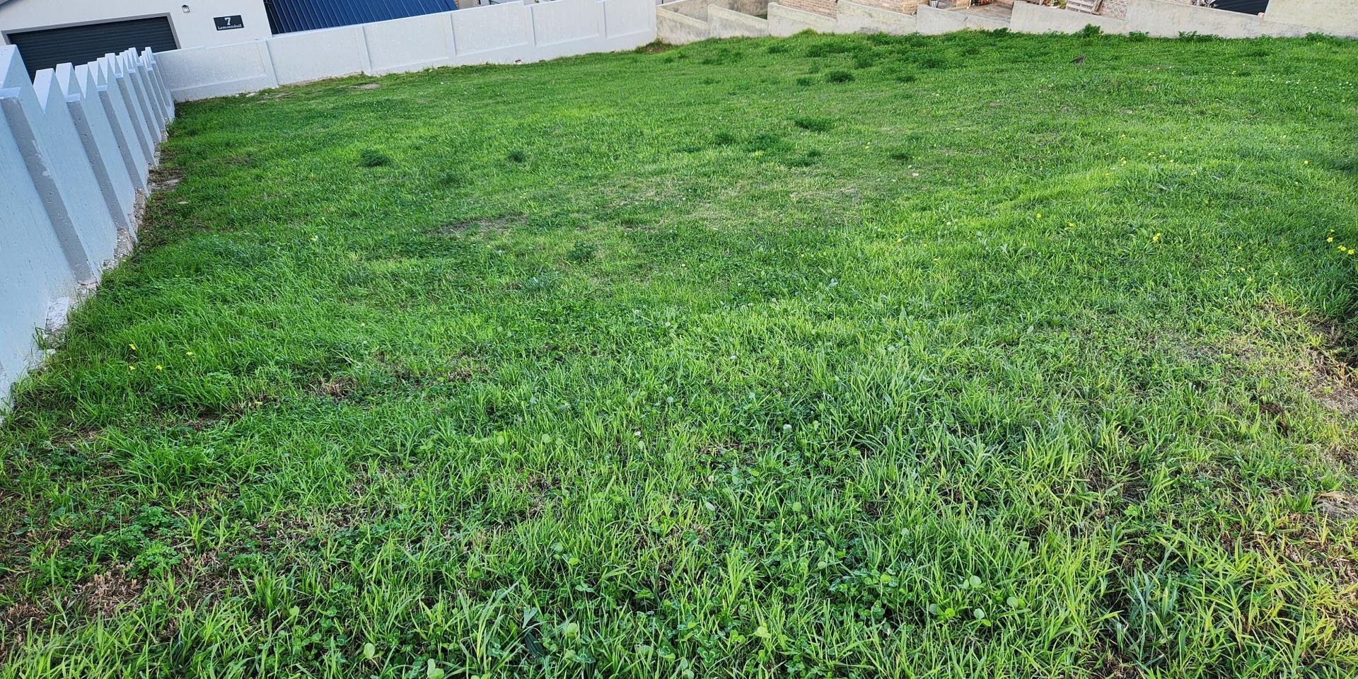 Image 2 of 6