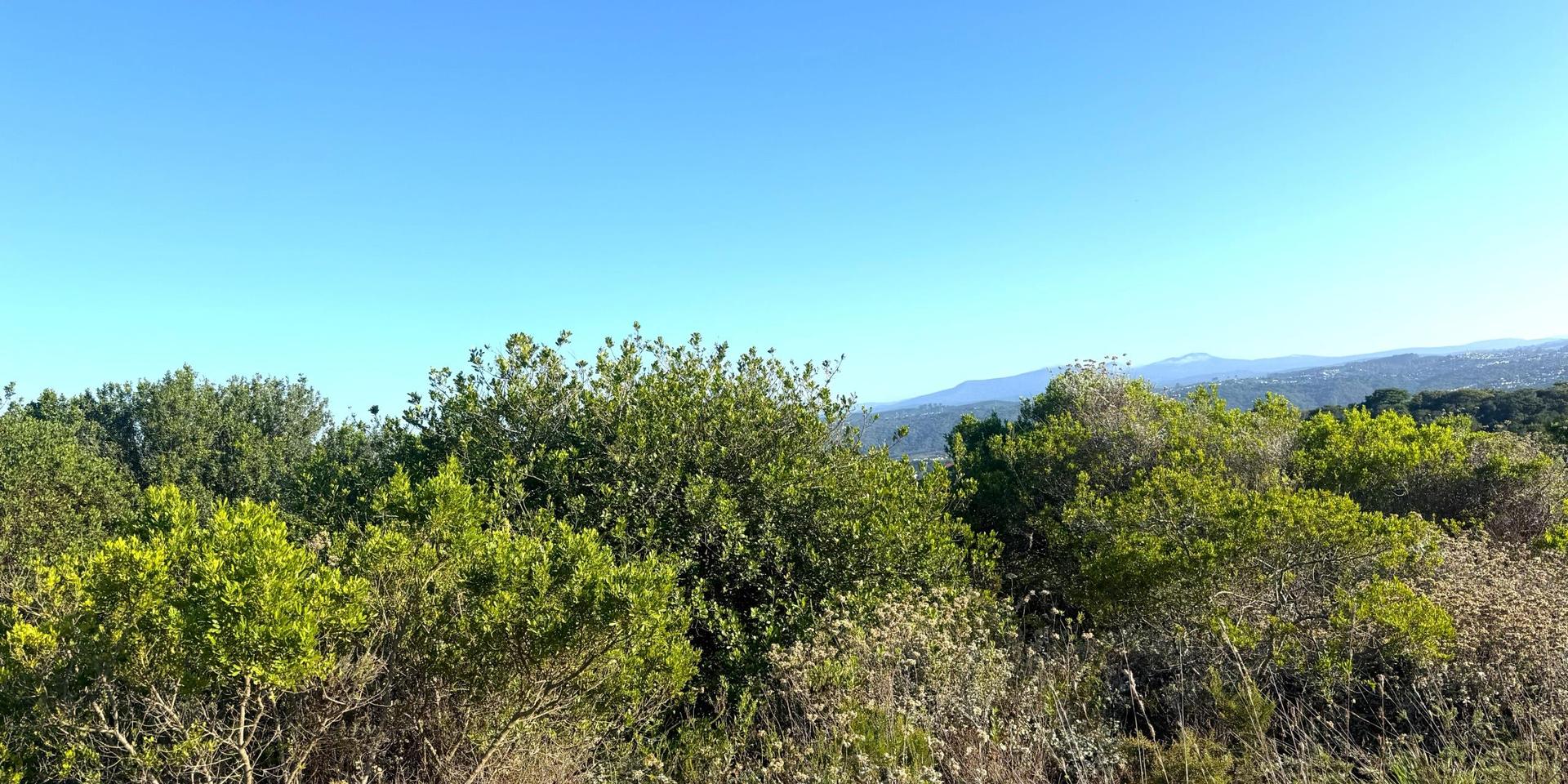 Image 2 of 6