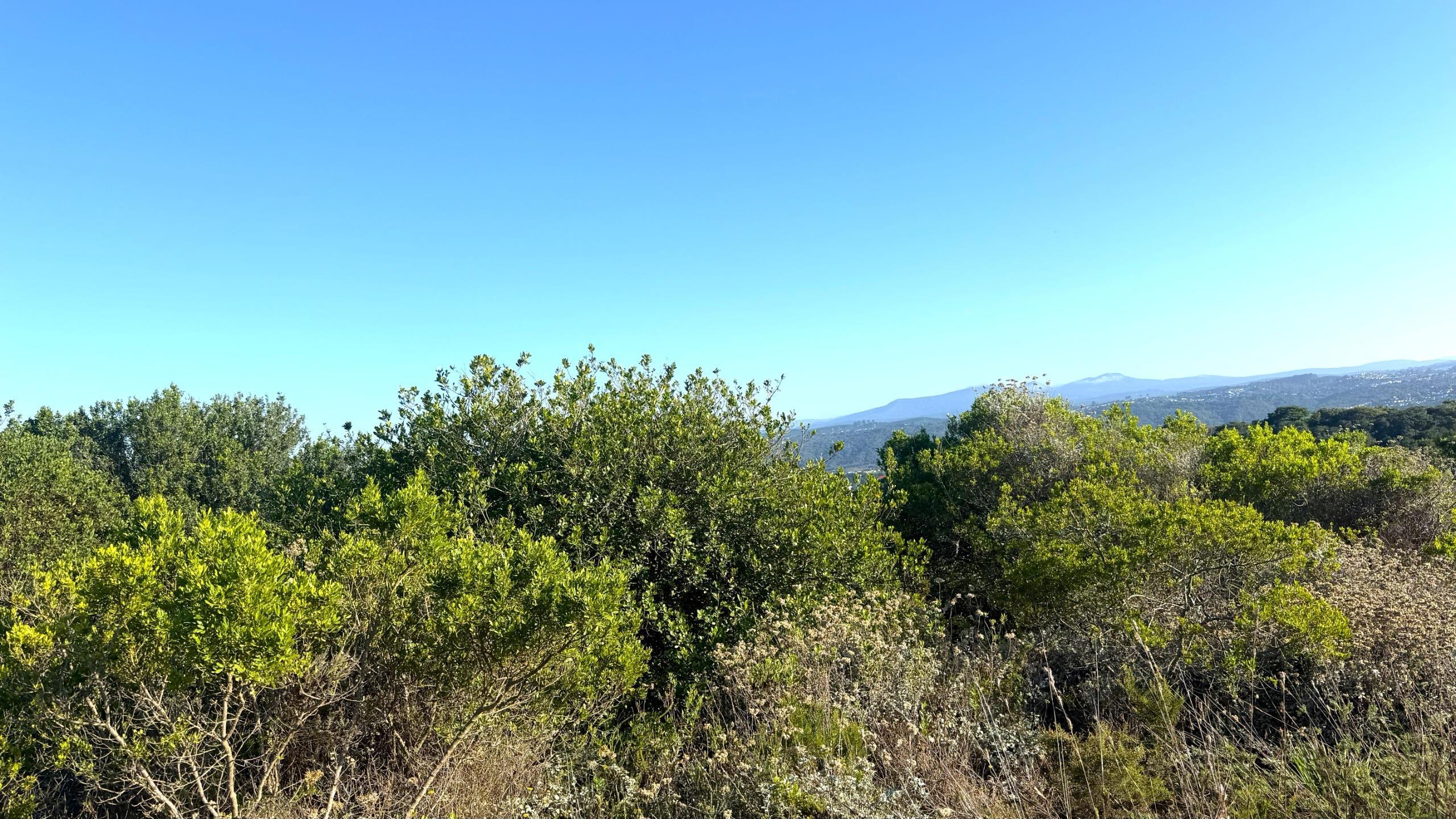 Image 2 of 6