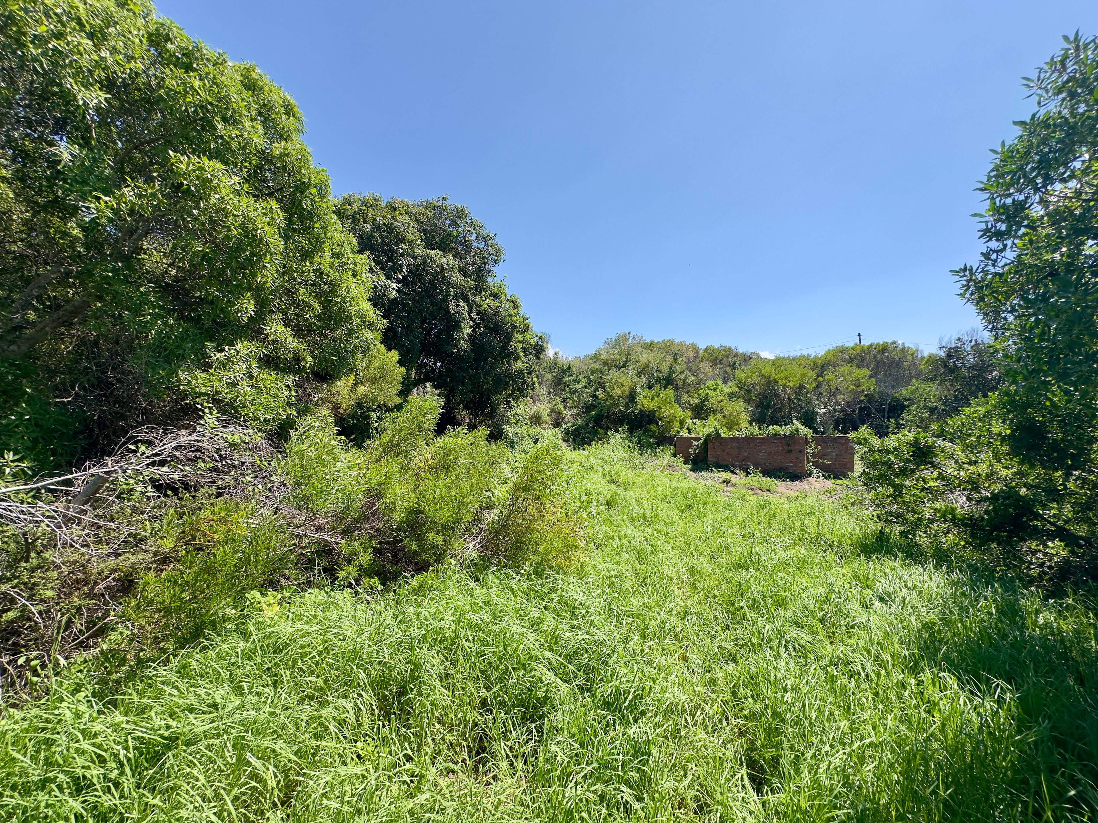 Image 2 of 6