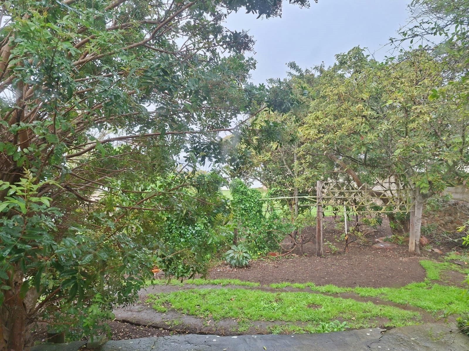Image 14
