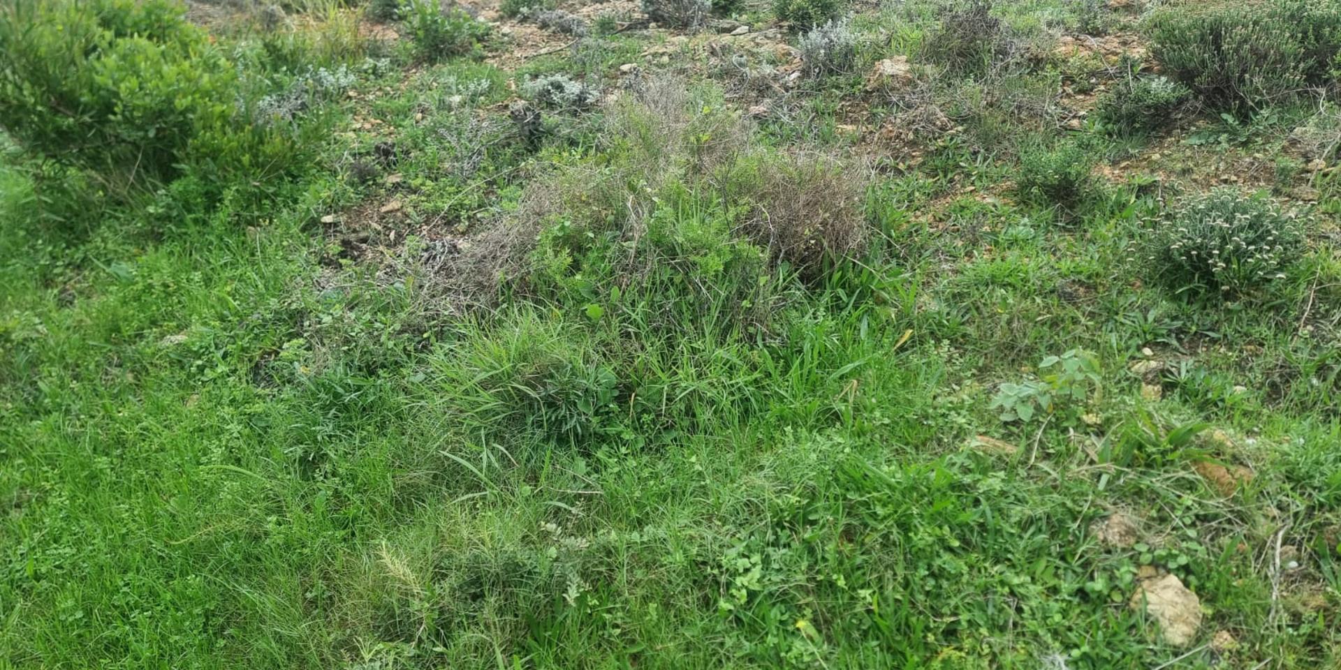 Image 5 of 6