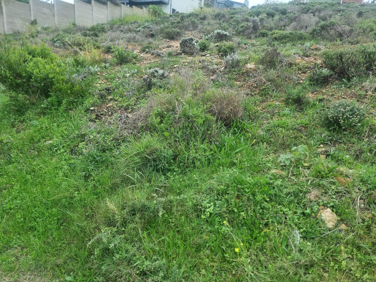 Image 5 of 6