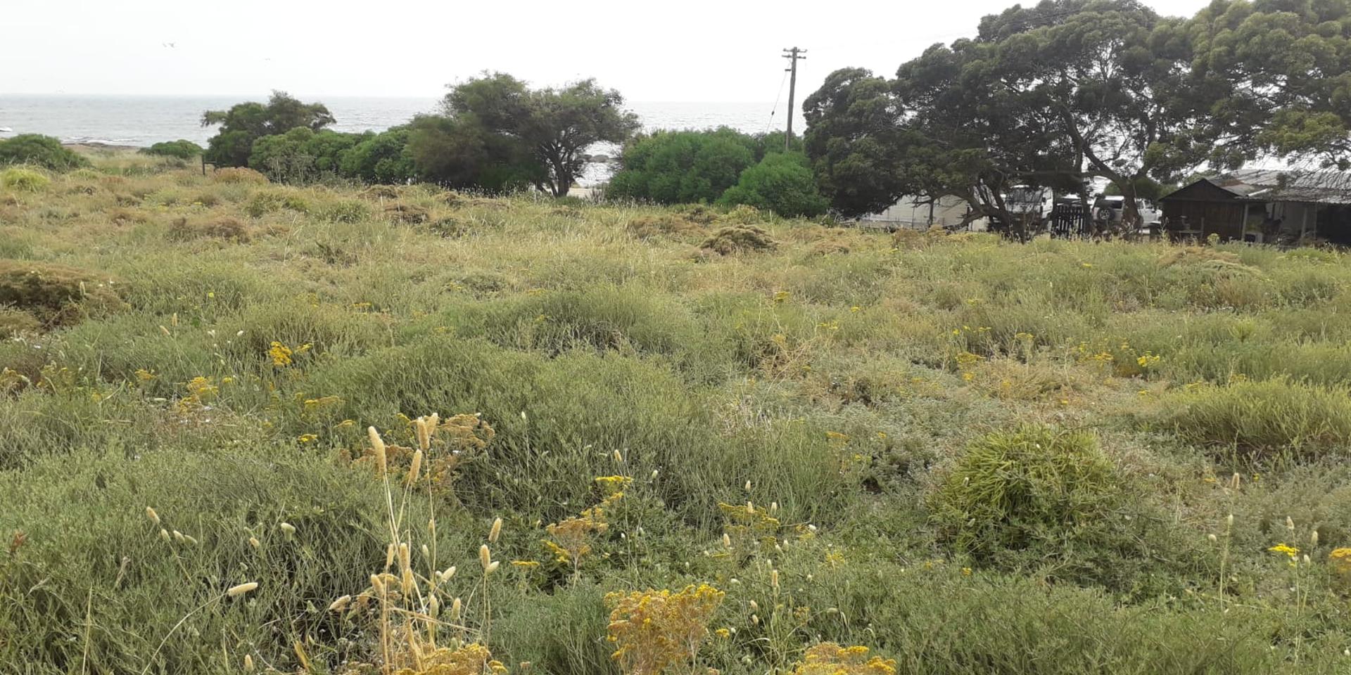 Image 4 of 6