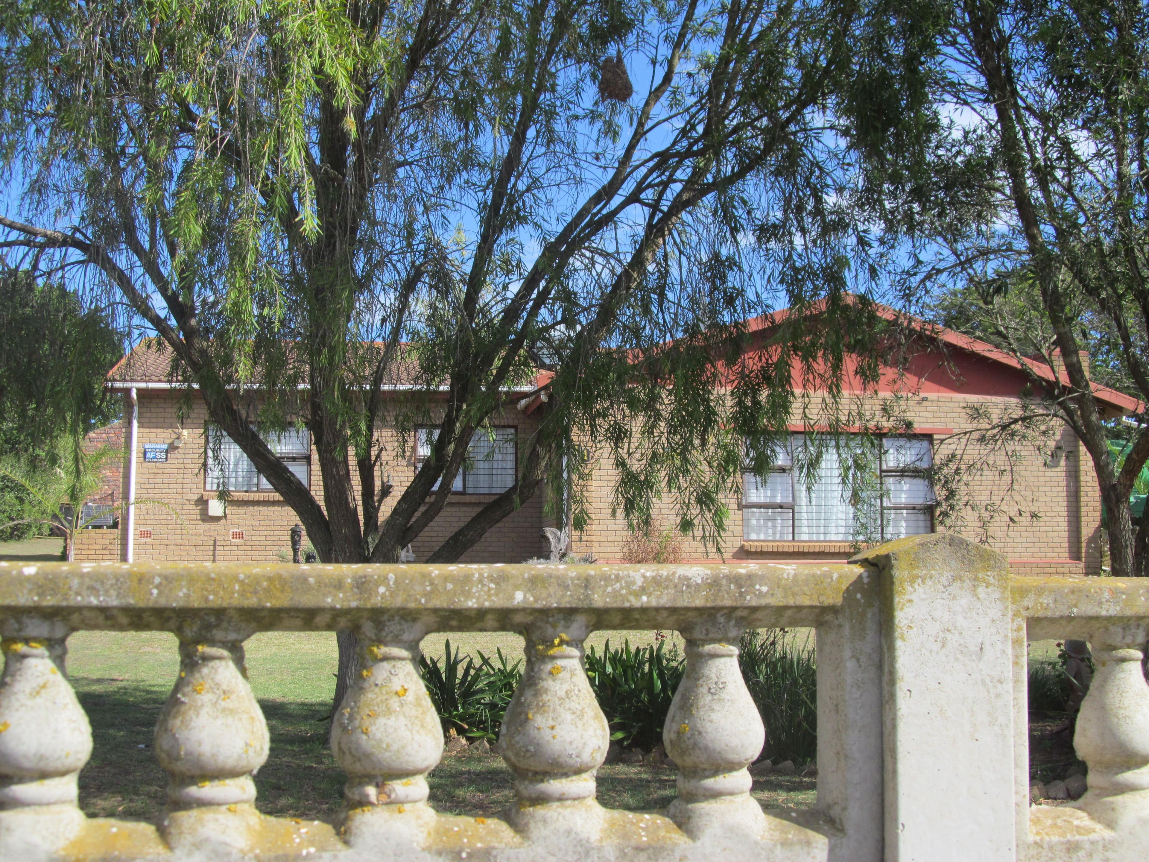 Image 32