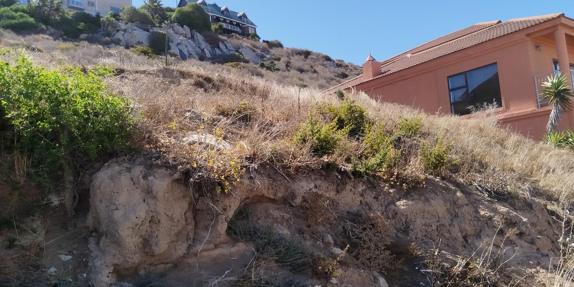 Image 5 of 6