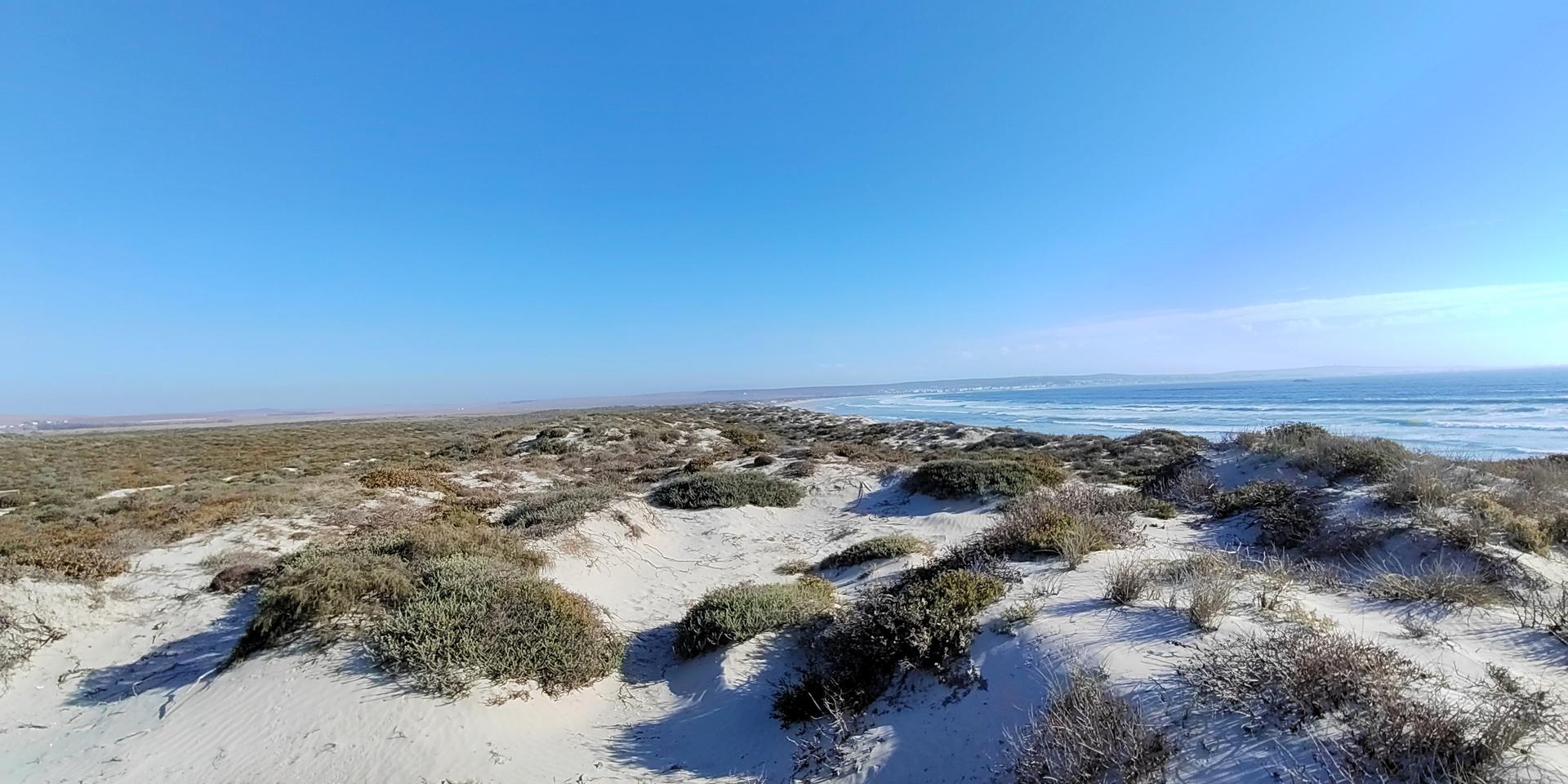 Image 4 of 6