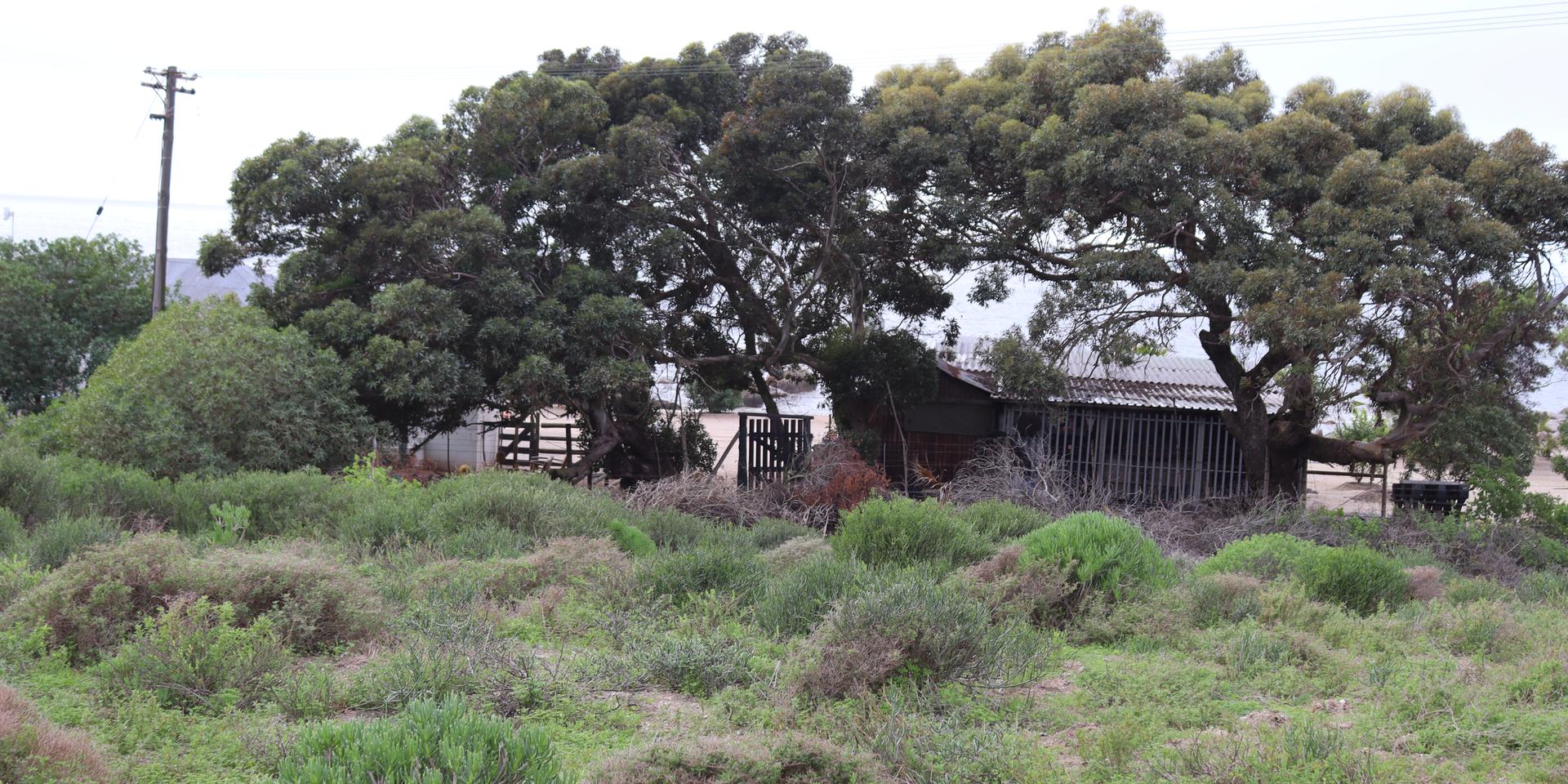 Image 1 of 6