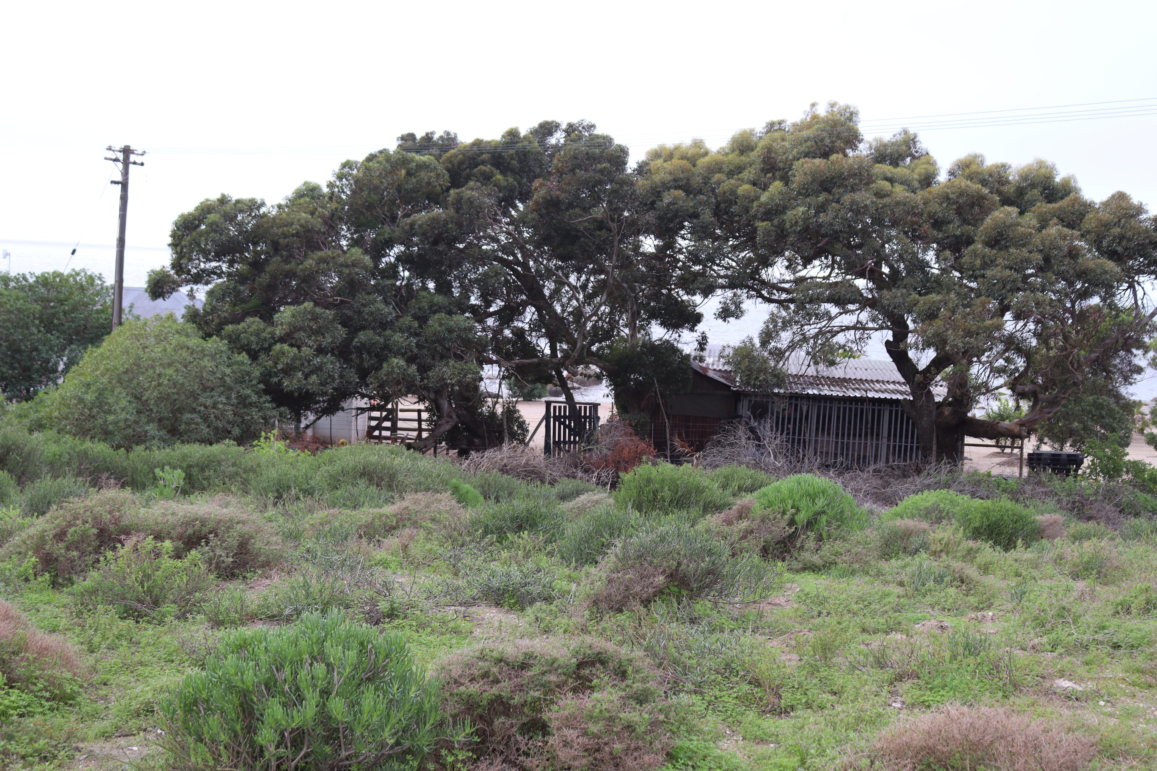 Image 1 of 6