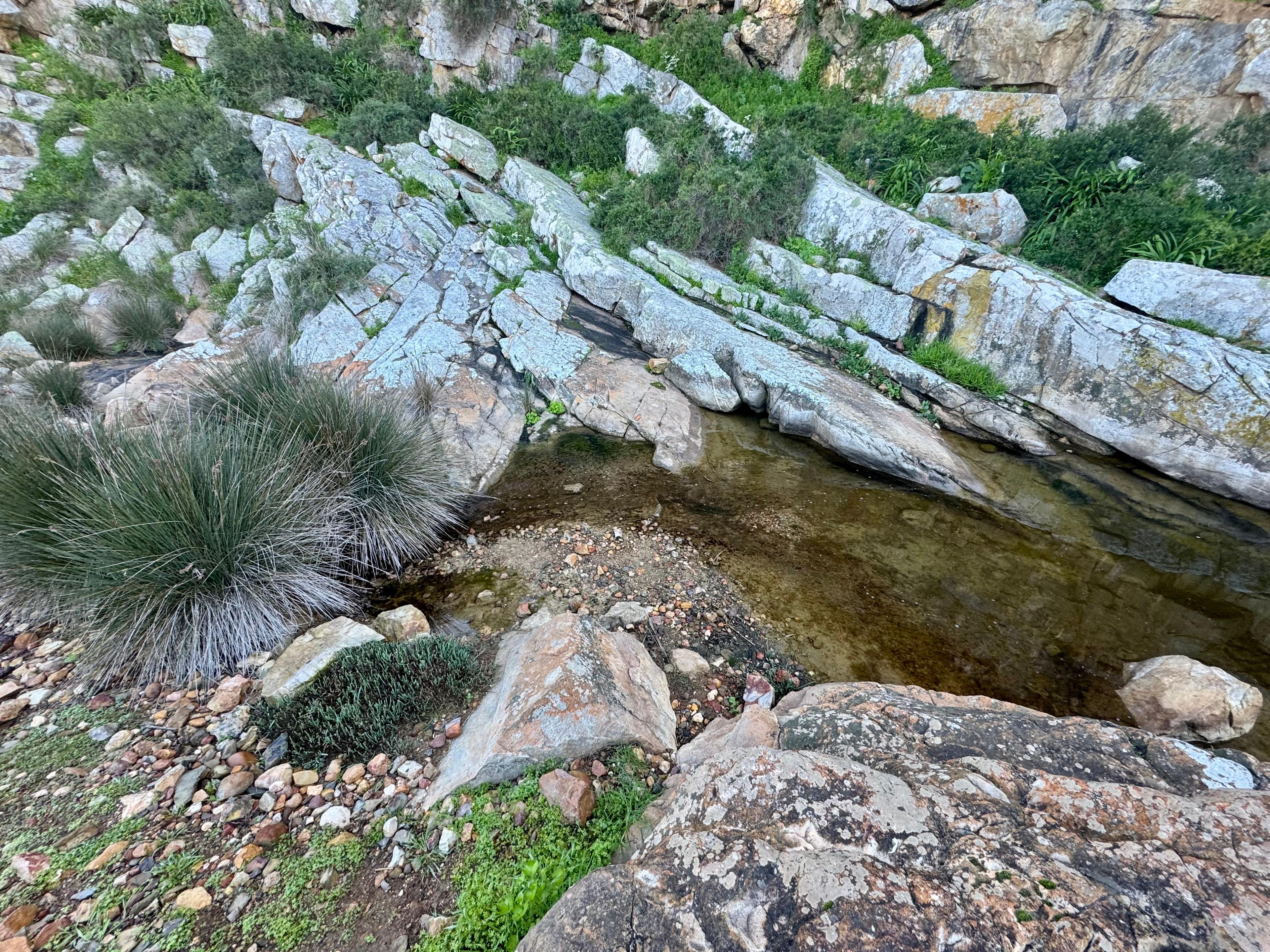 Image 35
