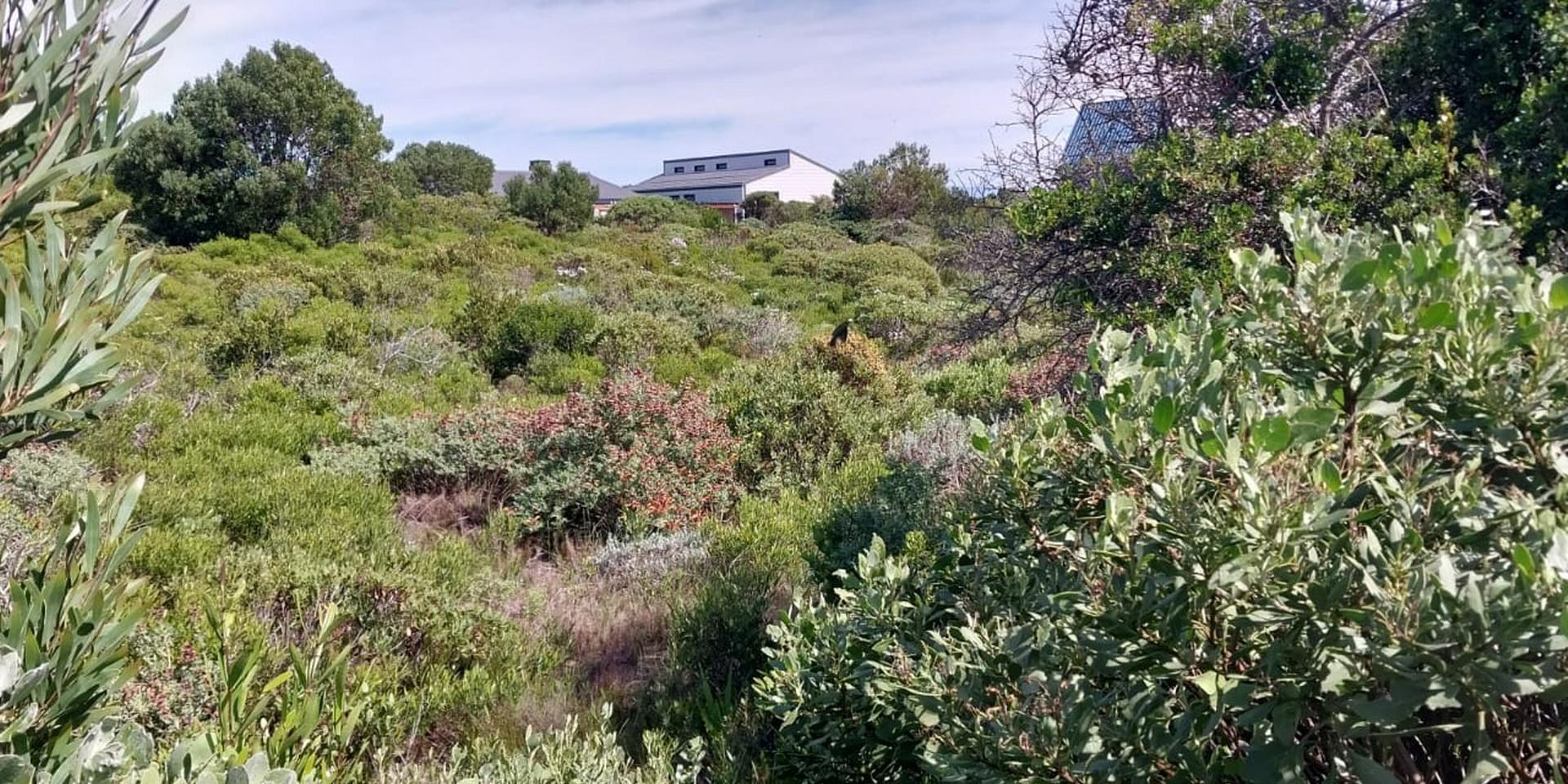 Image 5 of 6