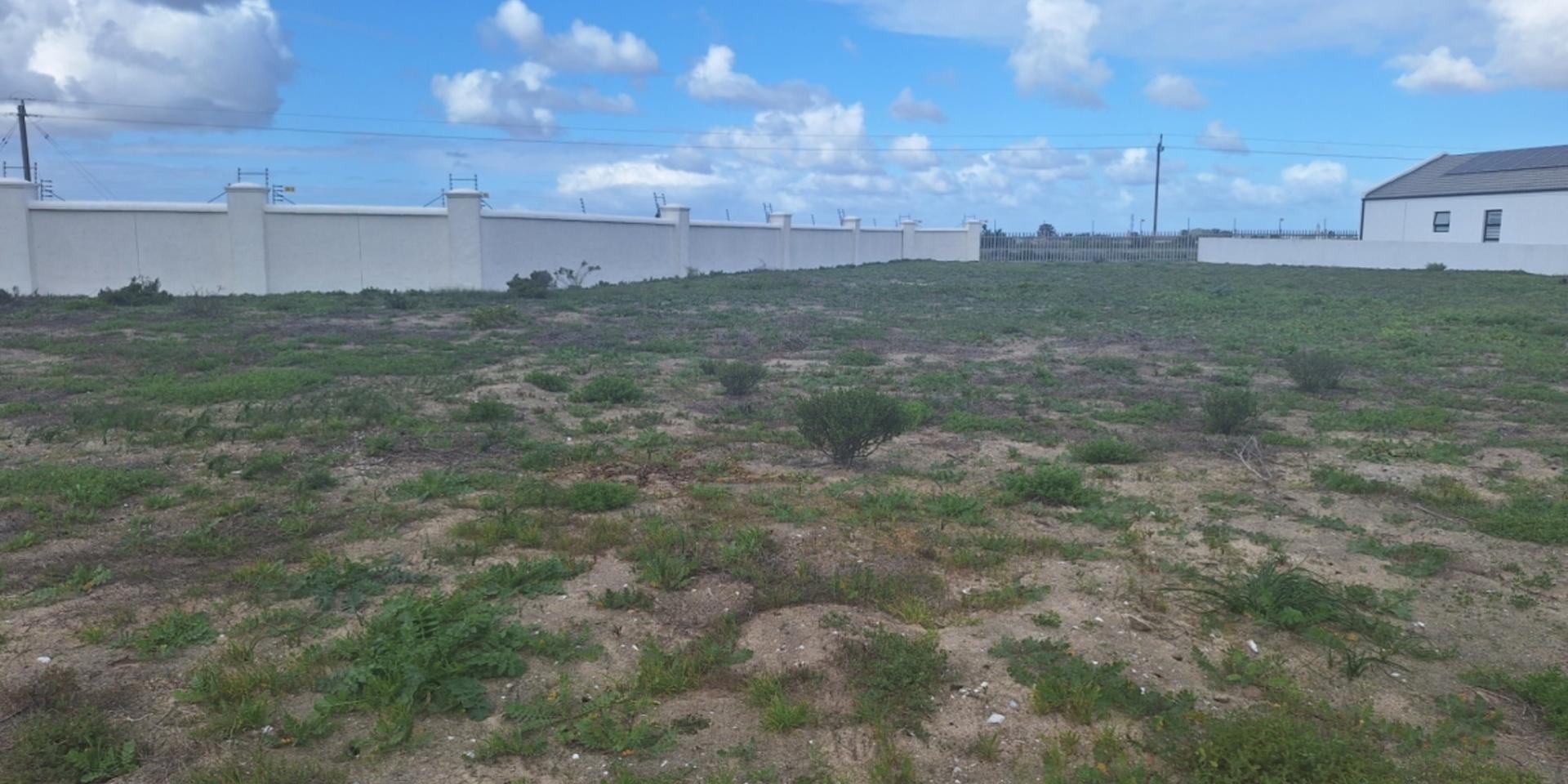 Image 5 of 6