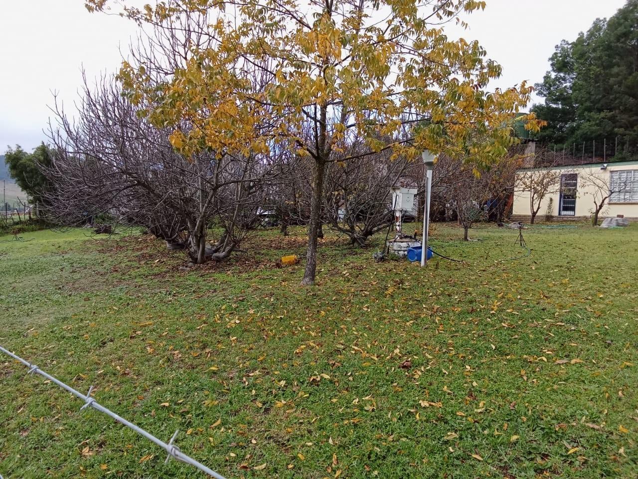 Image 29