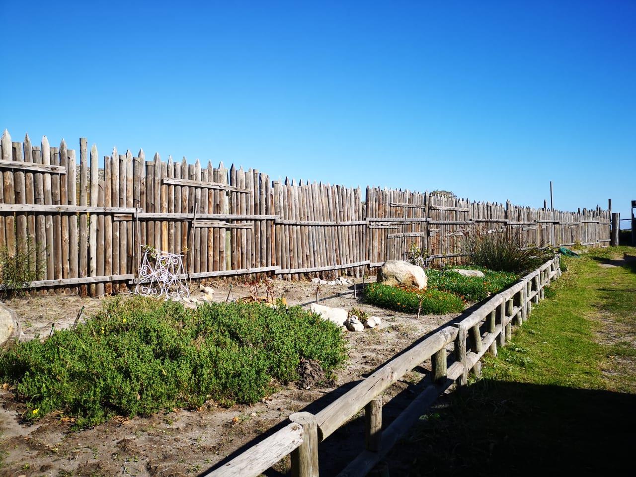 Image 29