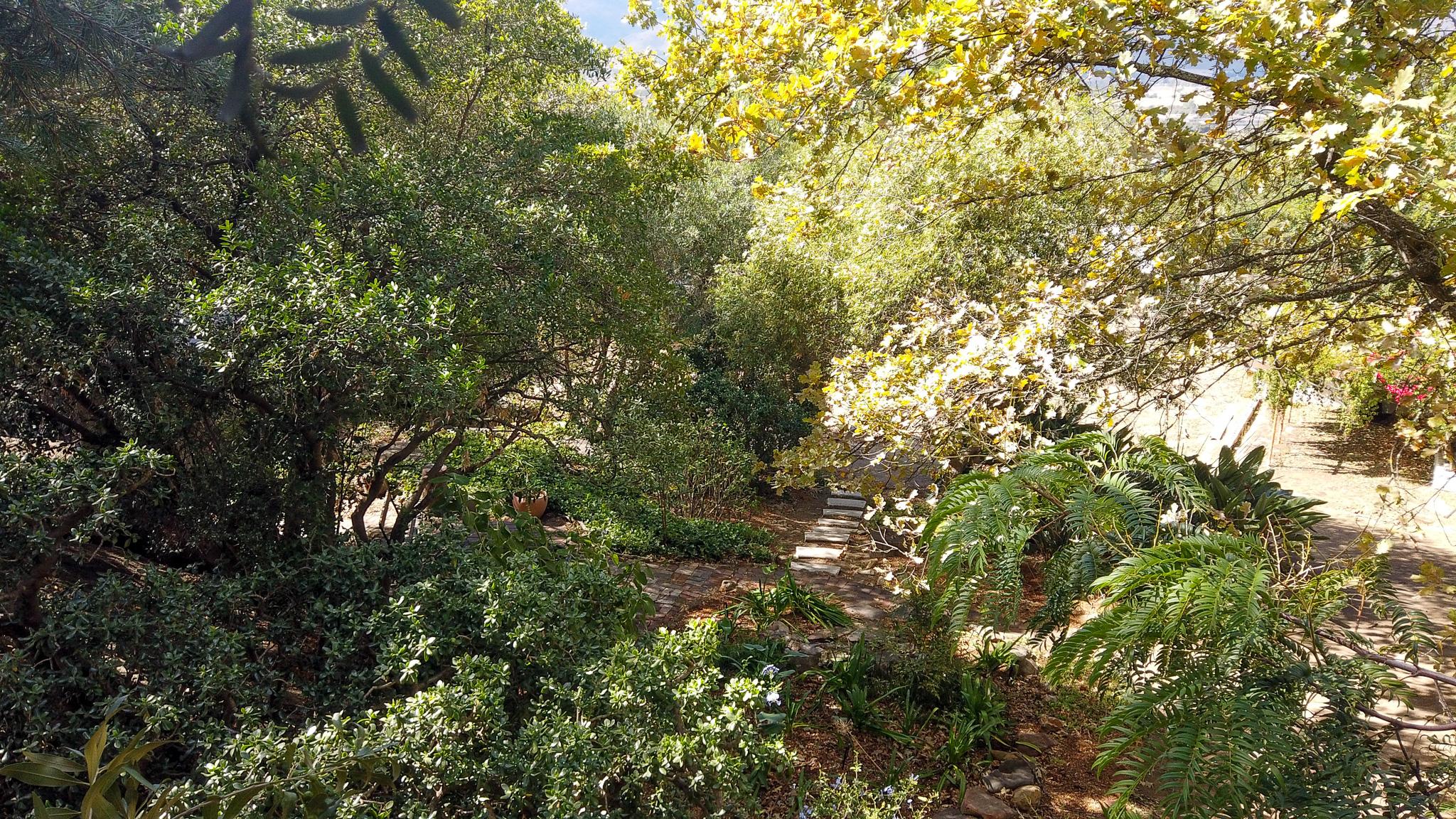 Image 8