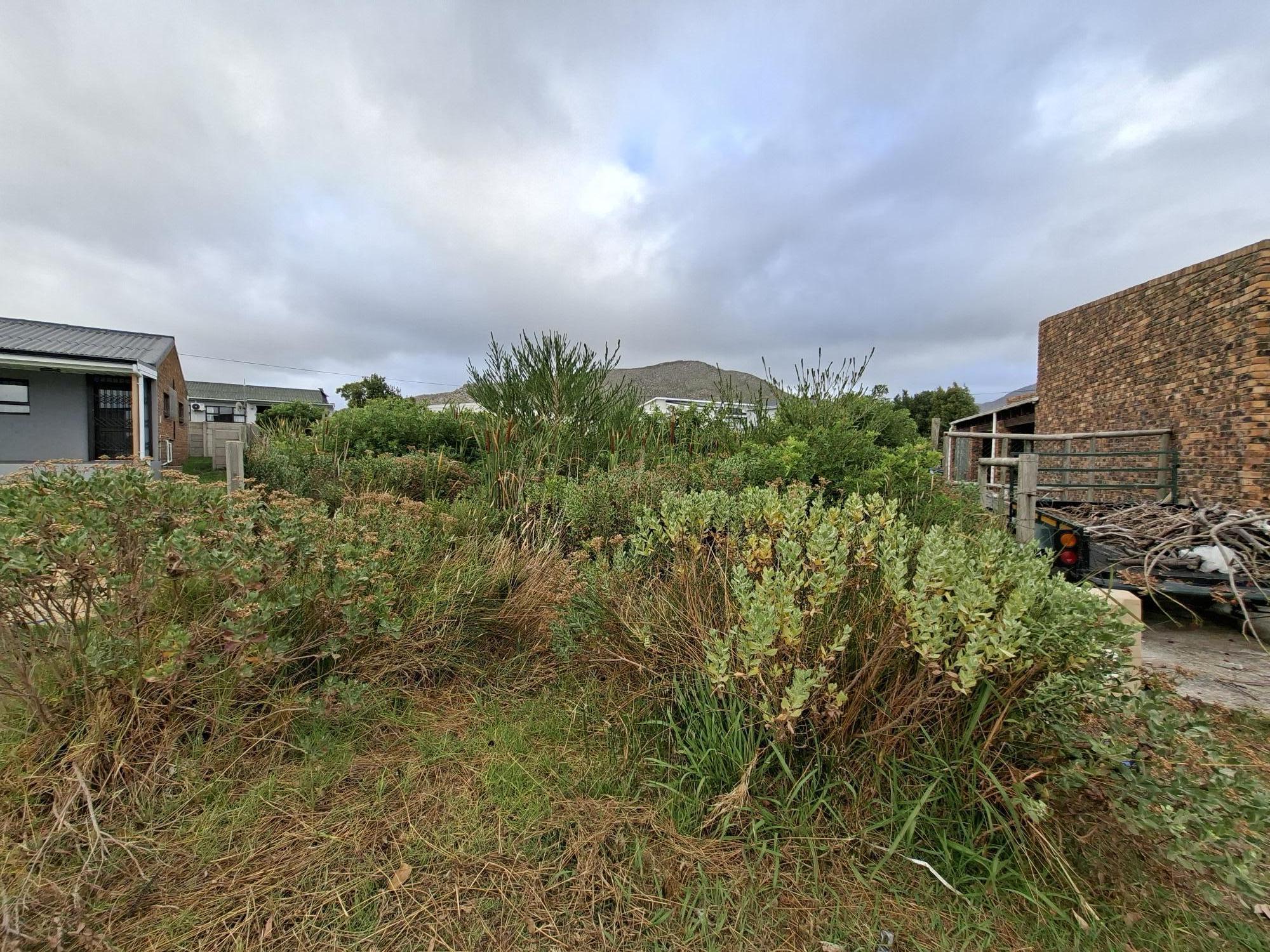 Image 23