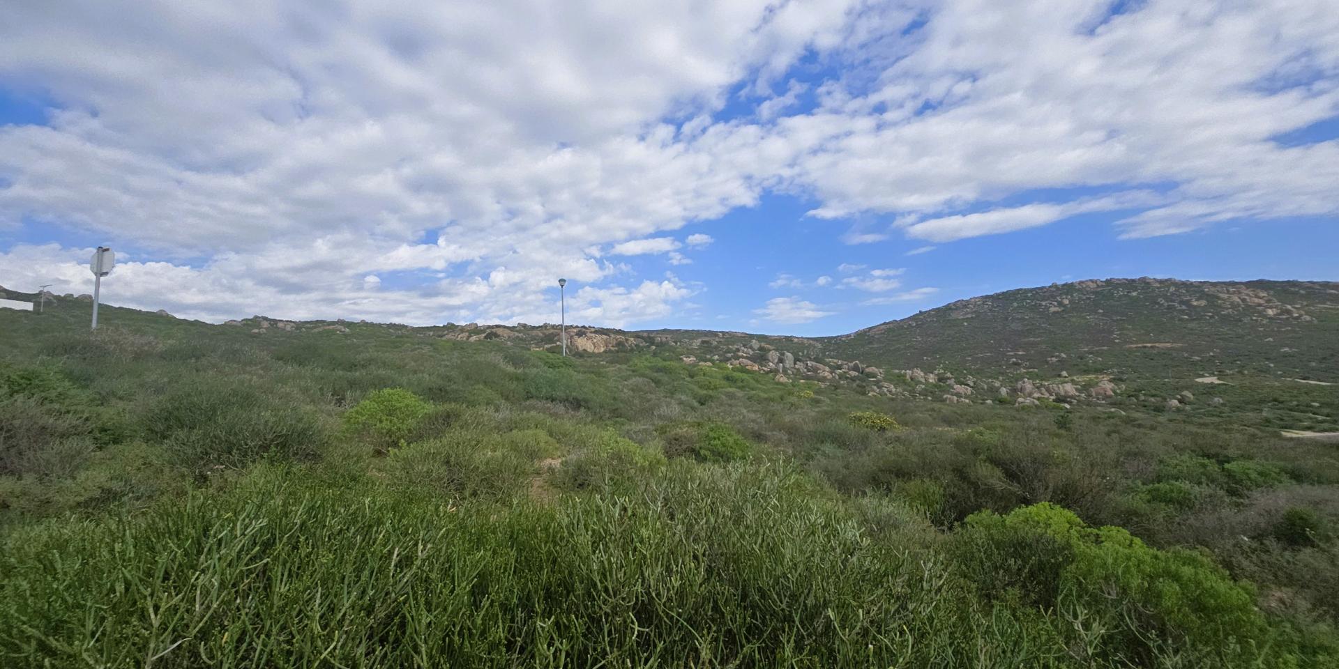 Image 4 of 6