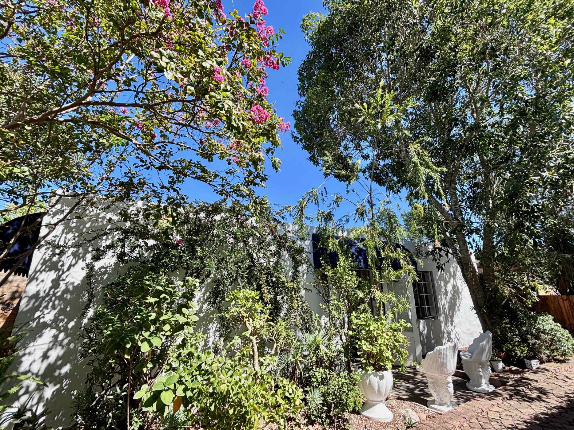 Image 13