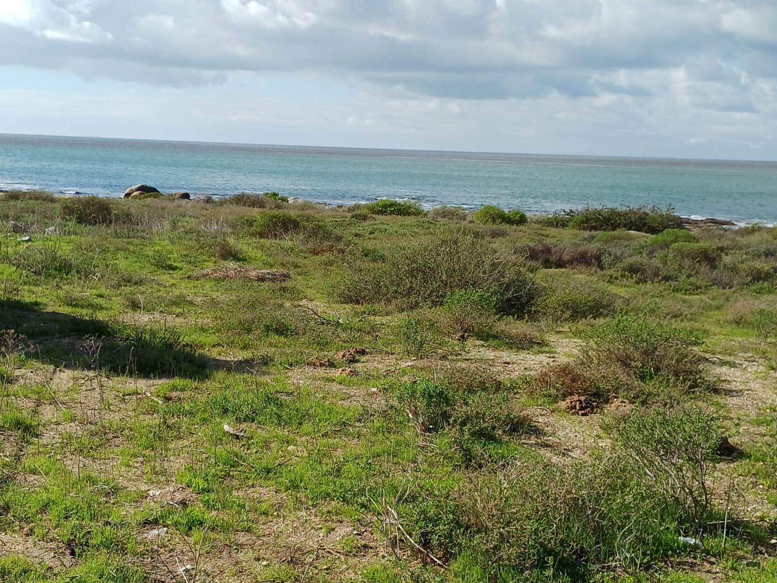 Image 9