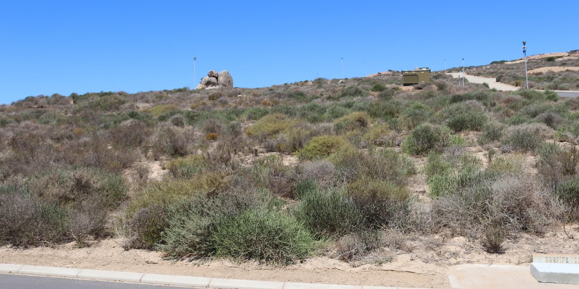 Image 3 of 6