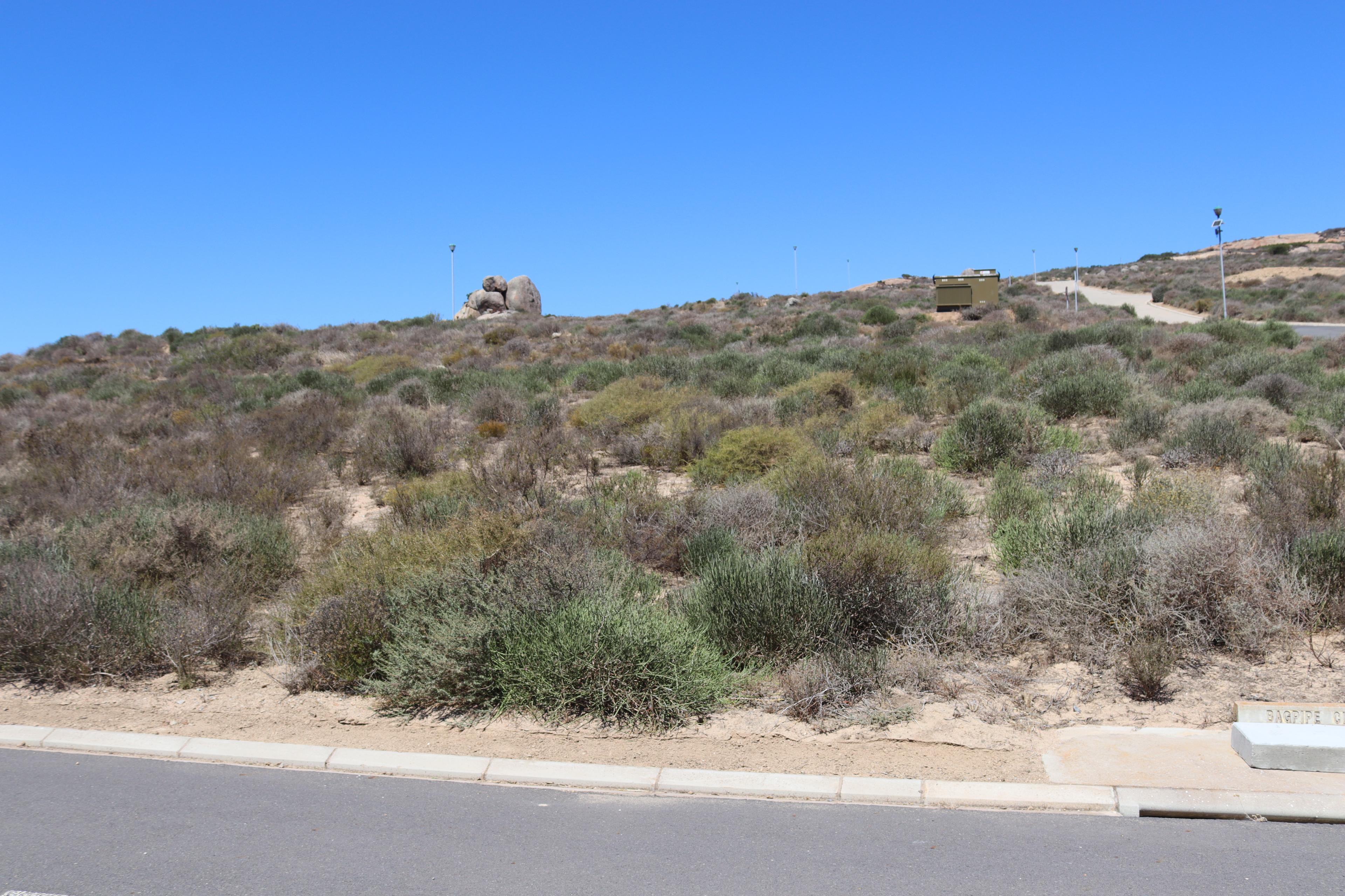 Image 3 of 6