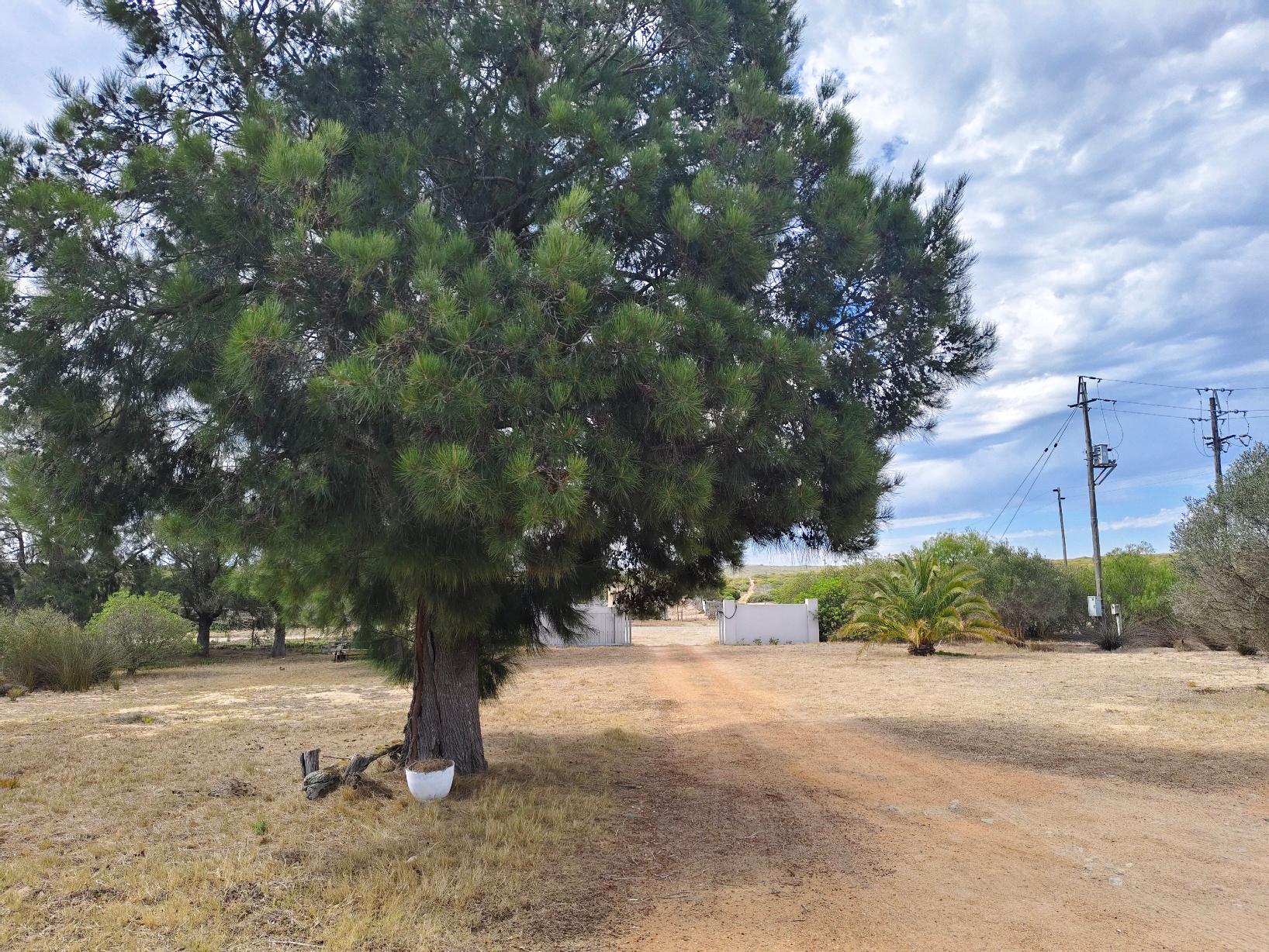 Image 4 of 6