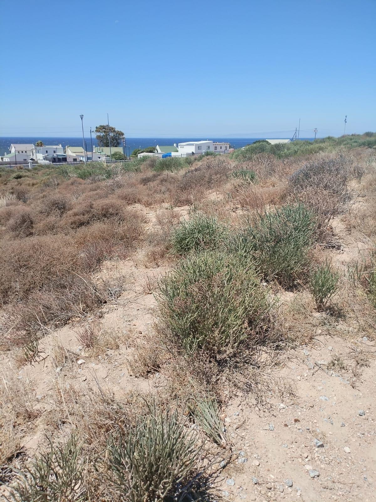 Image 5 of 6