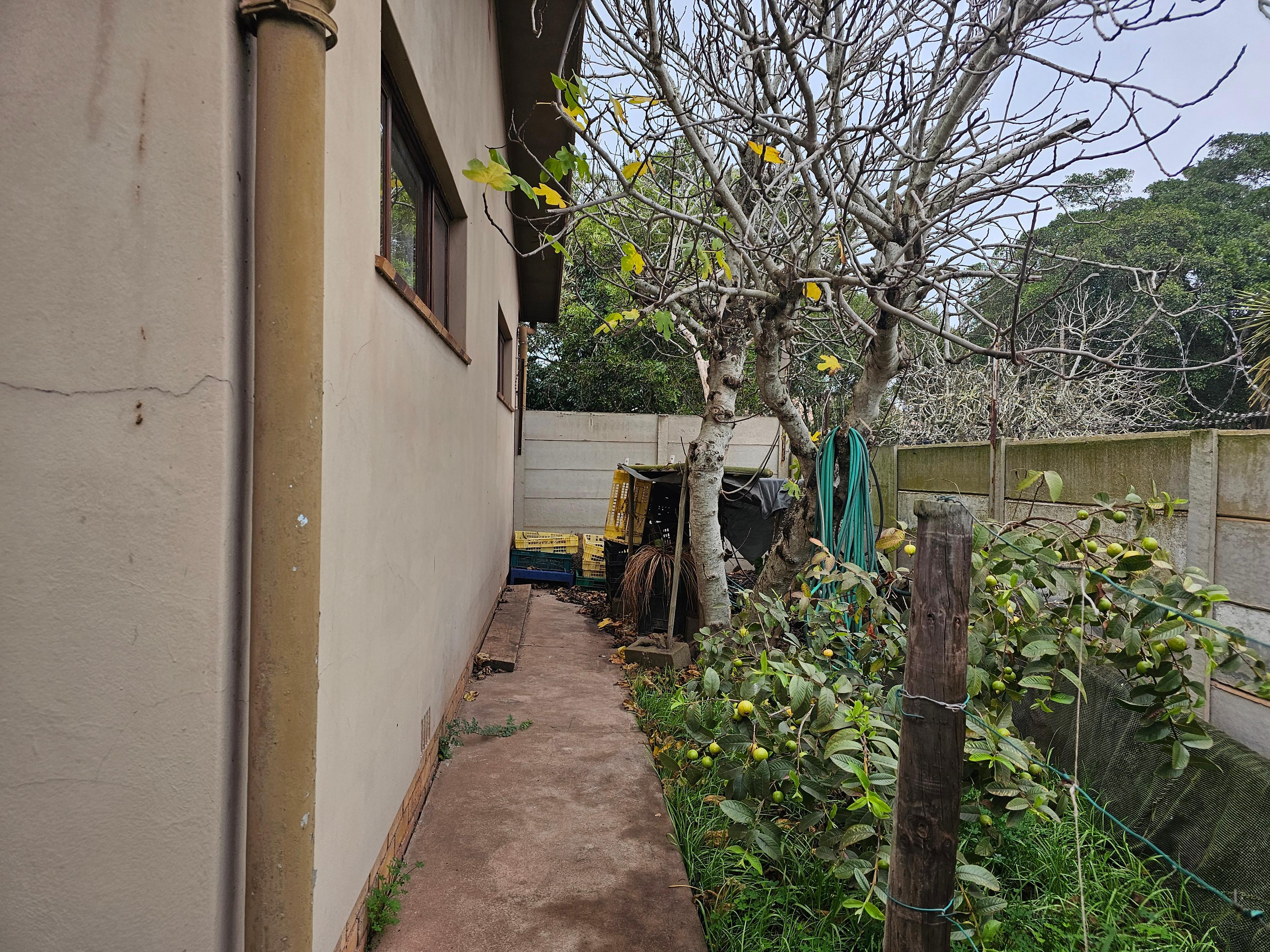 Image 12