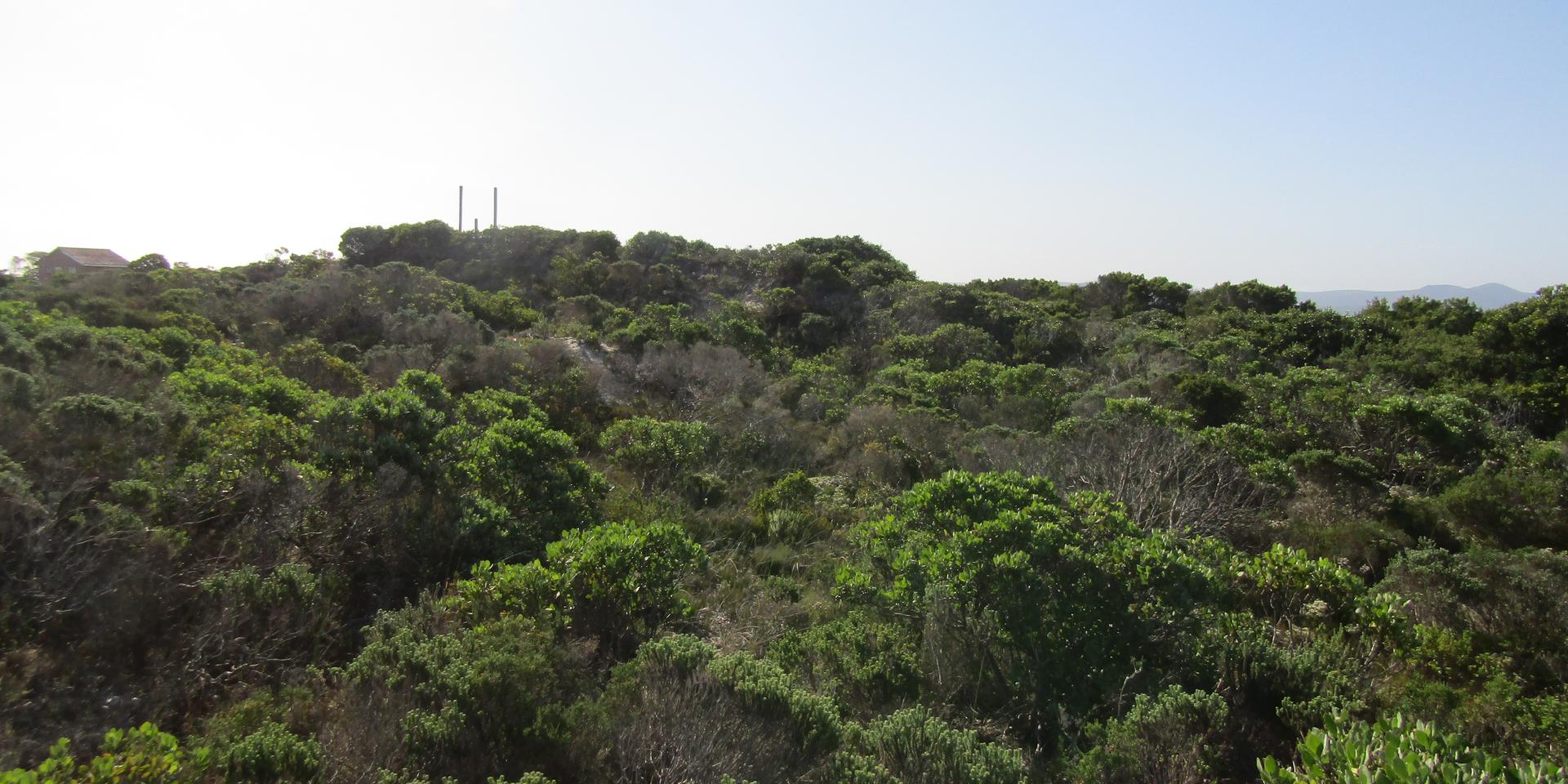 Image 2 of 6