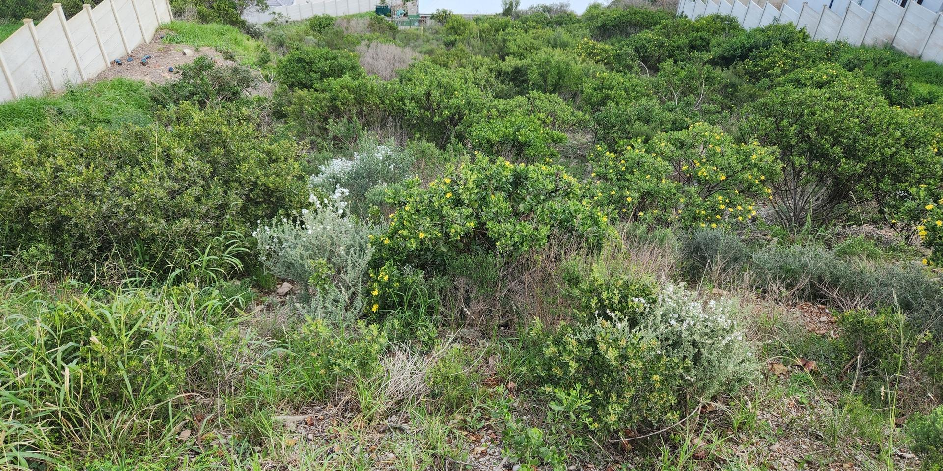 Image 3 of 6