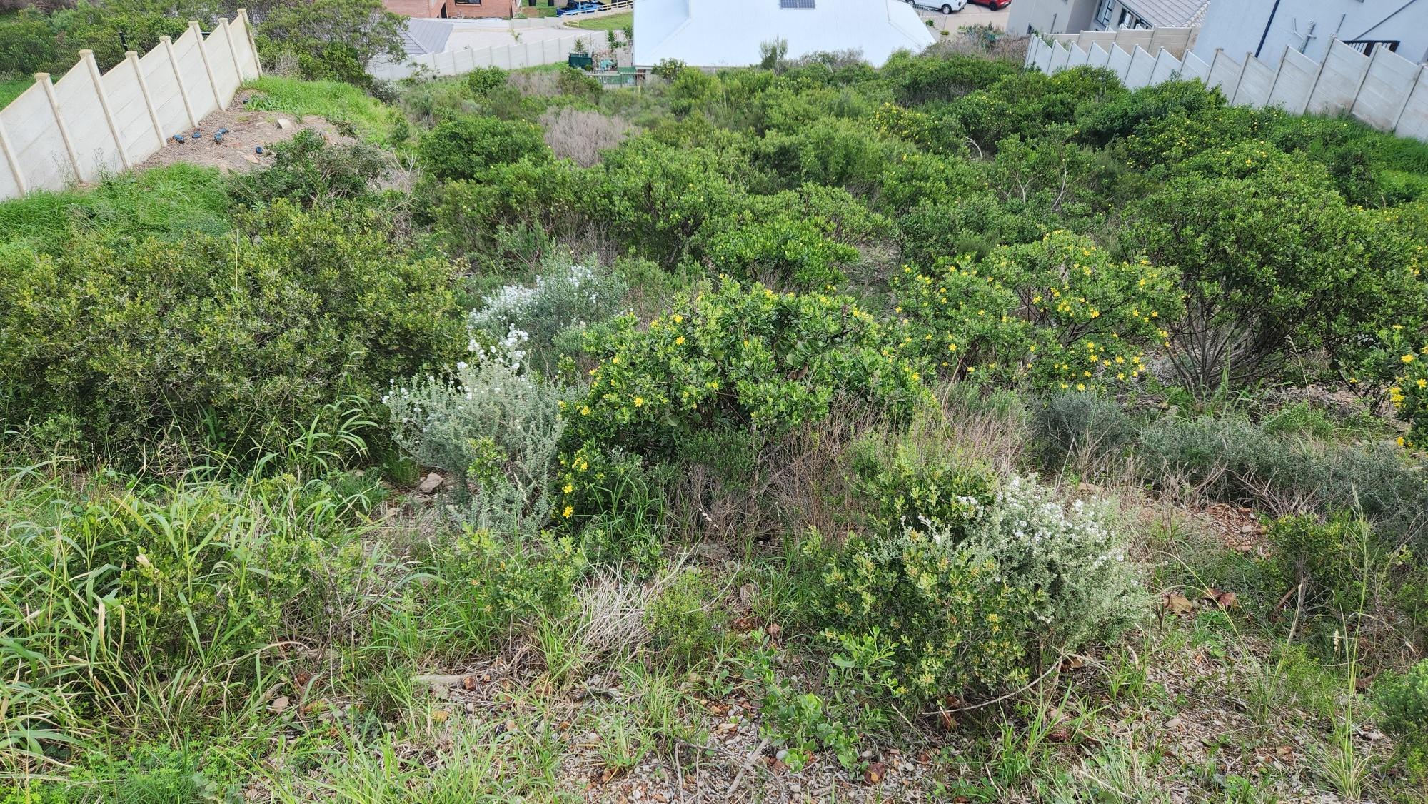 Image 3 of 6