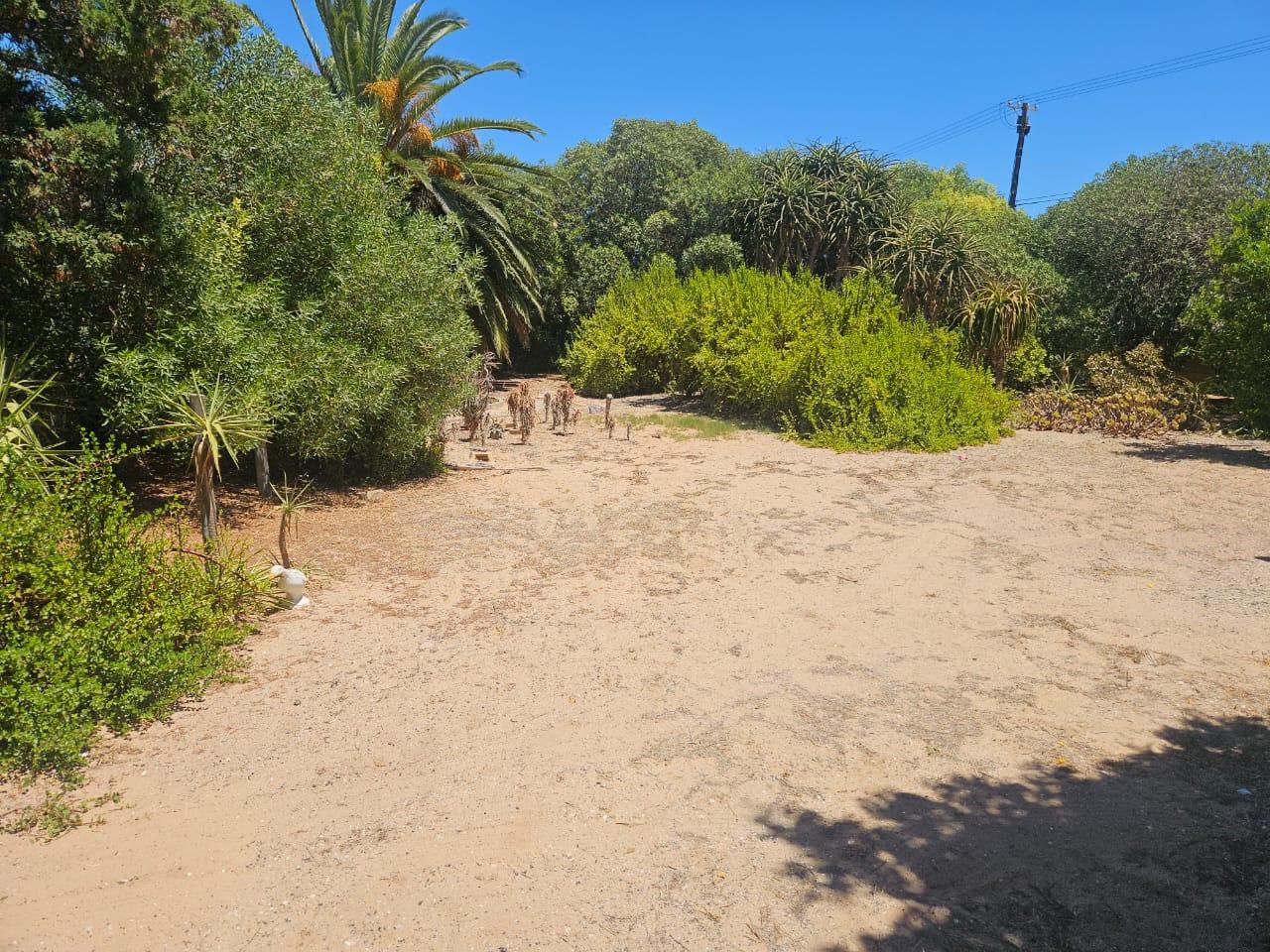 Image 3 of 6