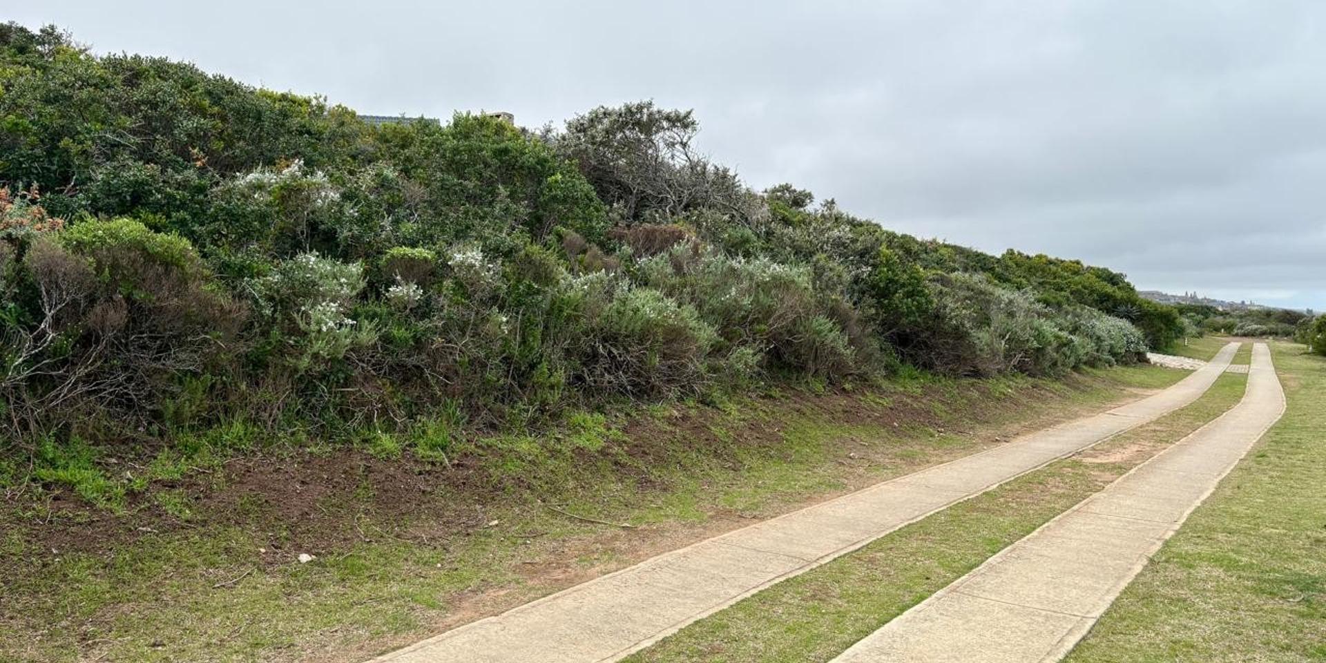 Image 4 of 6
