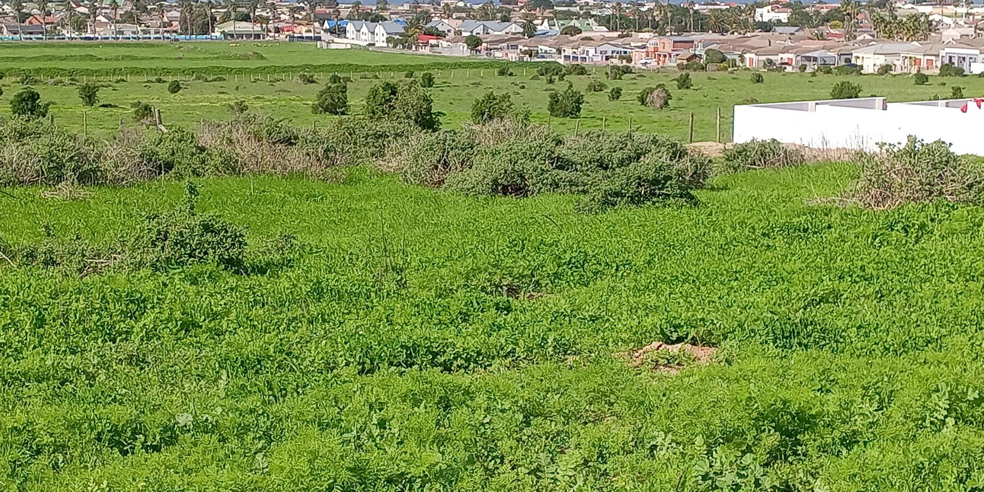 Image 4 of 6