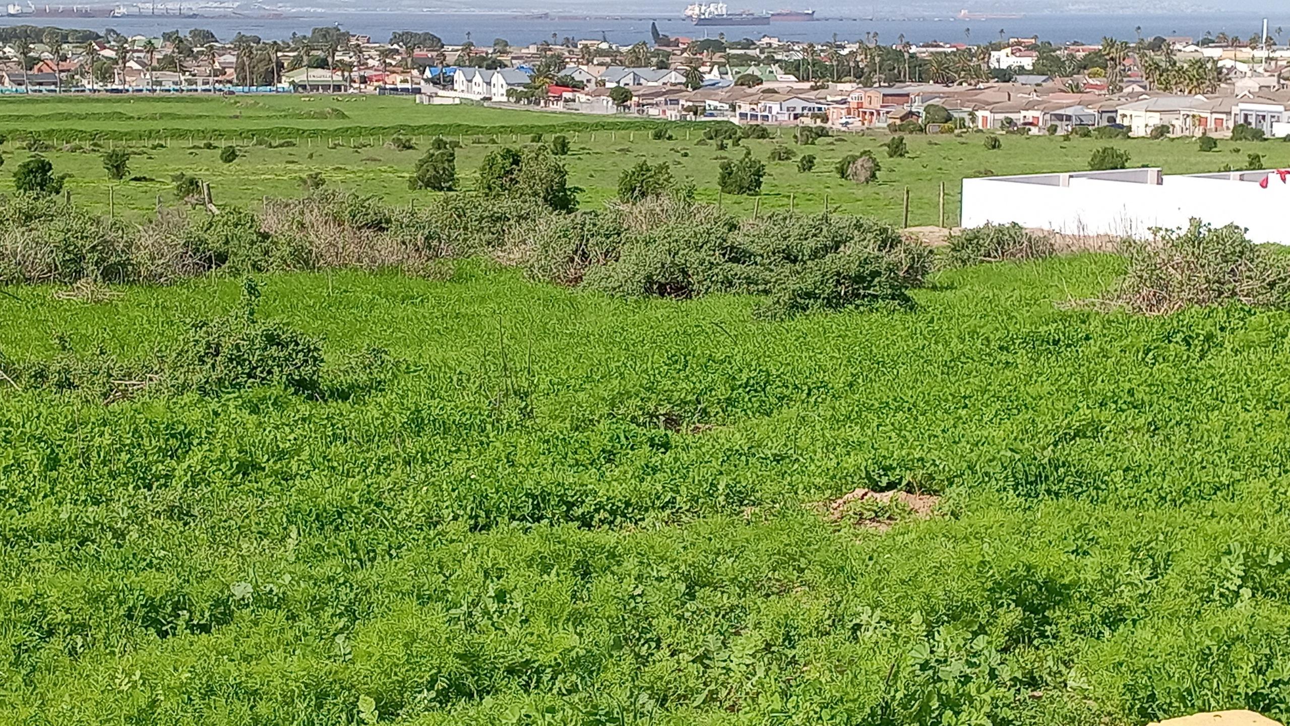 Image 4 of 6