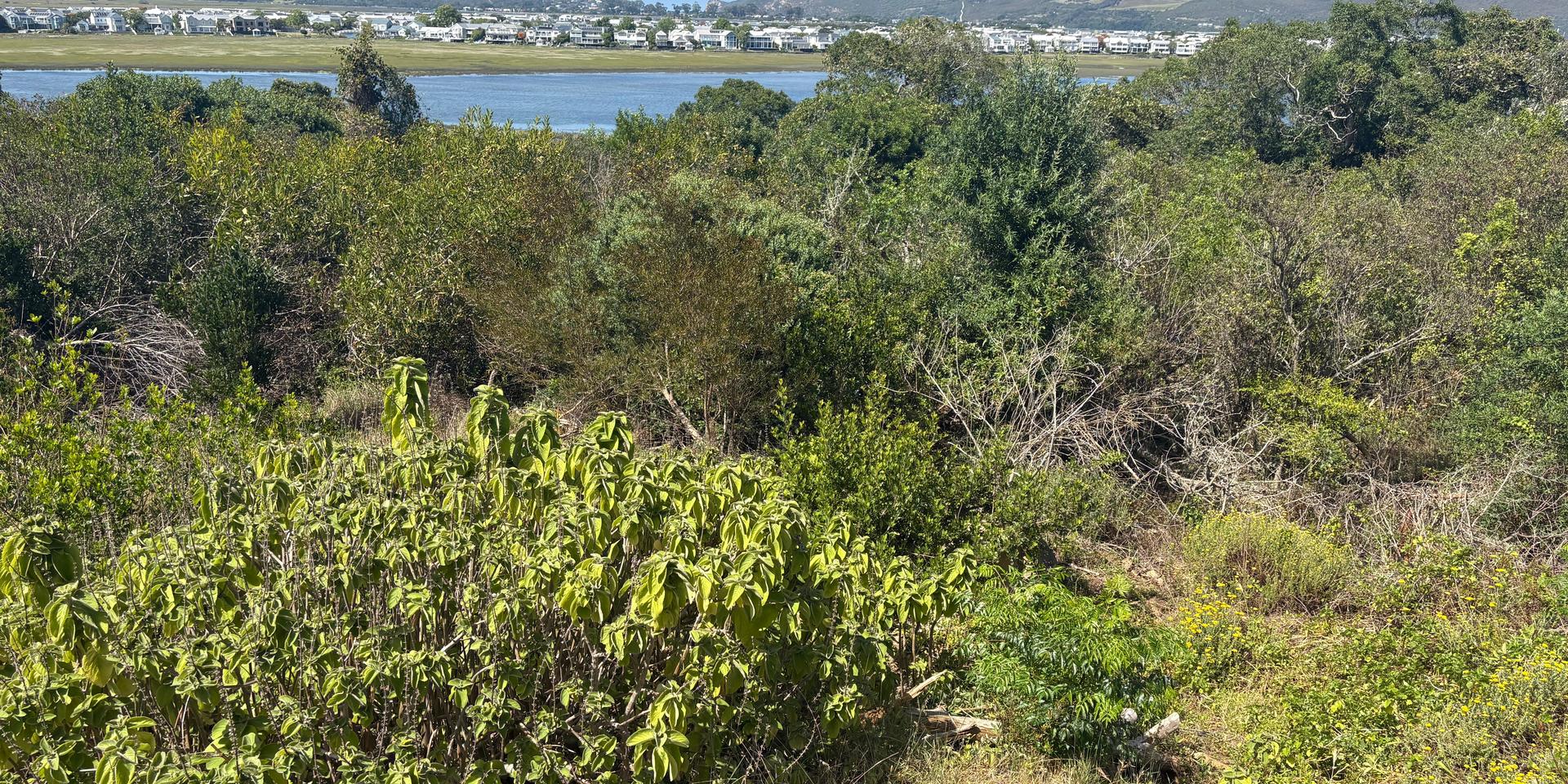 Image 3 of 6