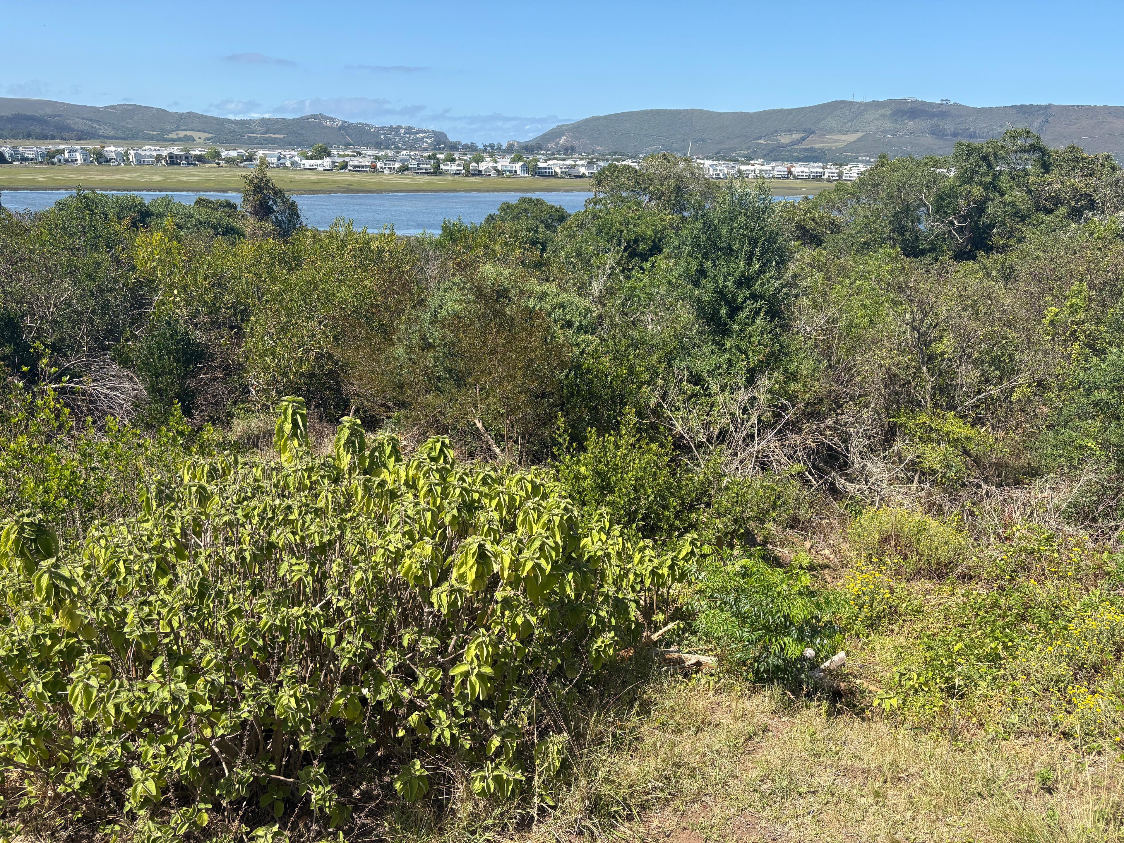 Image 3 of 6