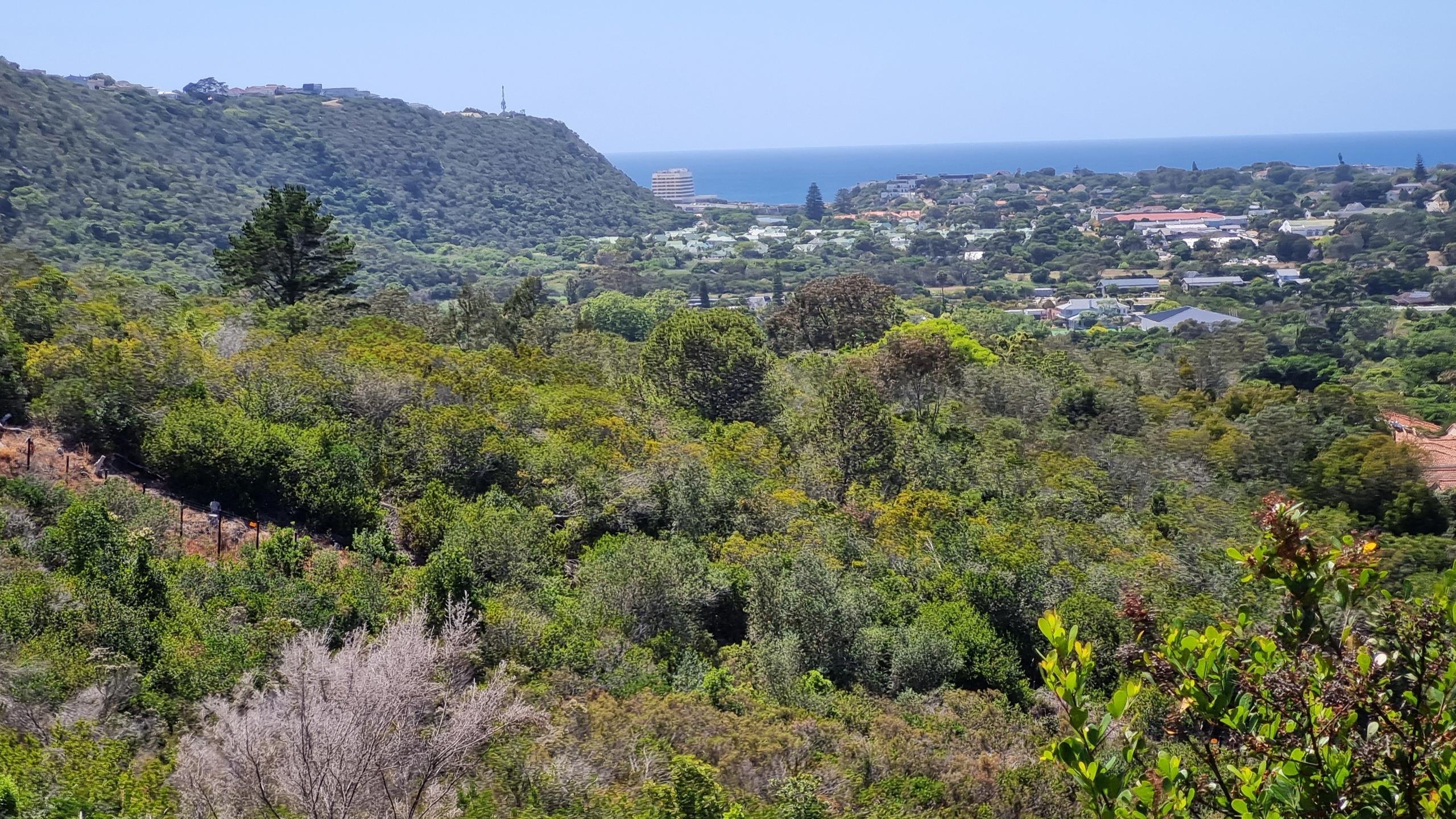 Image 13